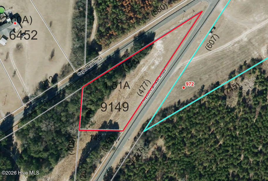 Tbd Capel Mill Road Ellerbe, NC 28338 - Photo 1 of 1