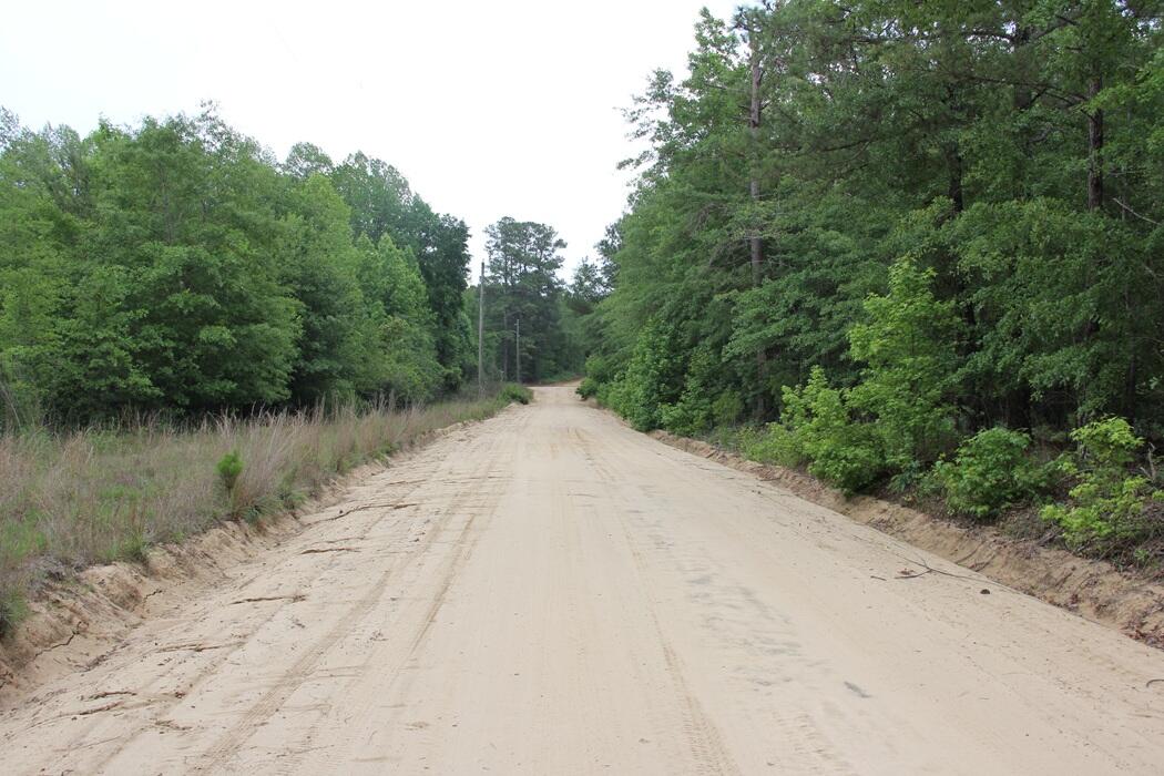 0 New Light Drive Neeses, SC 29107 - Photo 10 of 14 IMG_9968