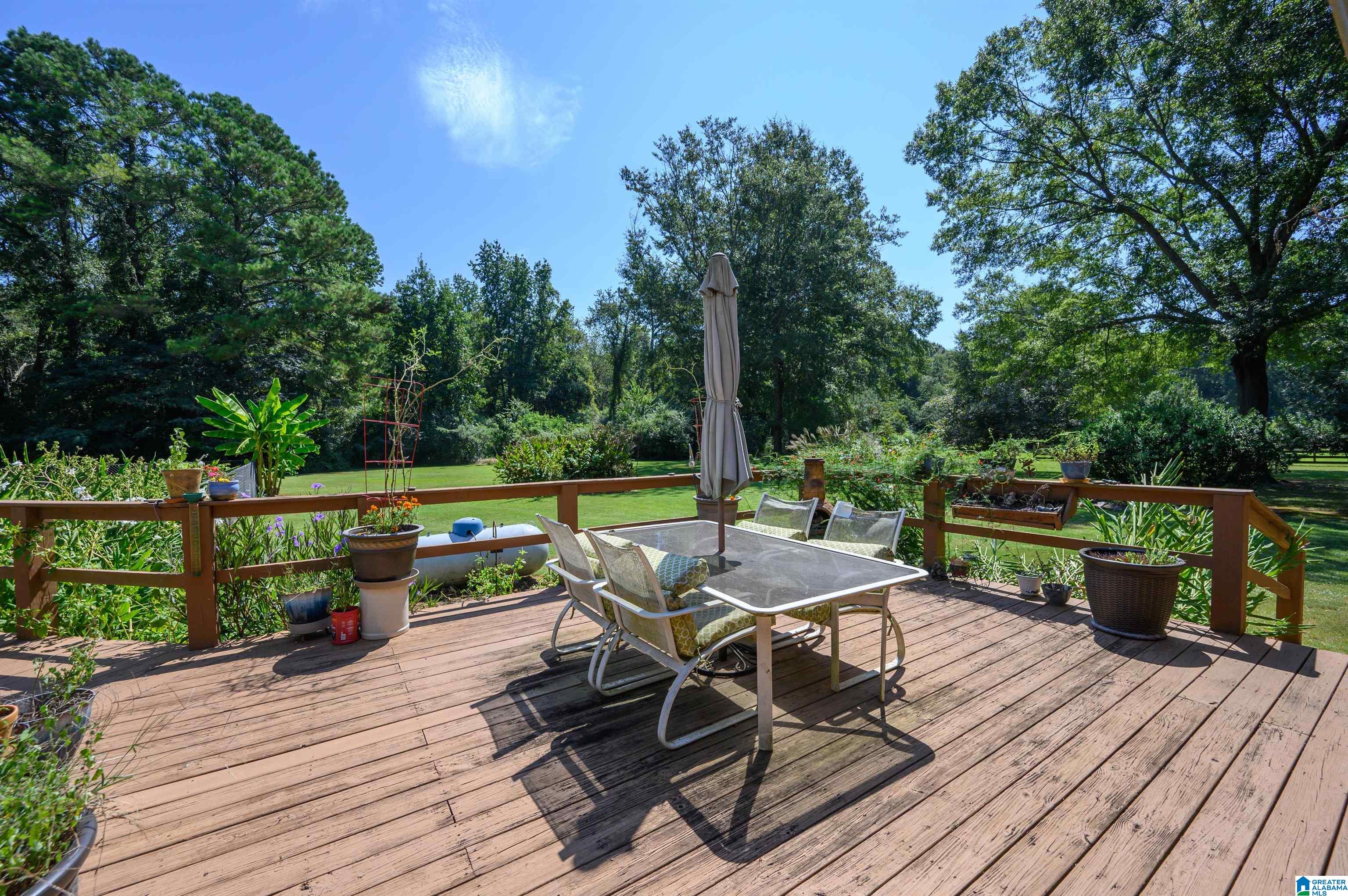 497 Cove Road Wilsonville, AL 35186 - Photo 48 of 65 Gallery Image 48