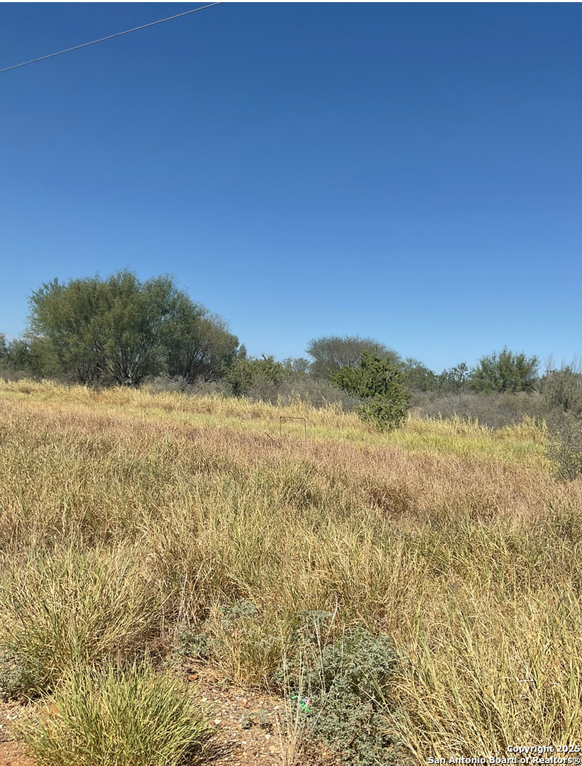 3510 Fm 468 Cotulla, TX 78014 - Photo 3 of 8