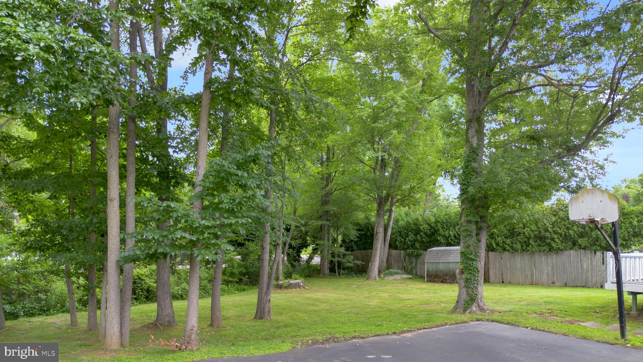 70 St Davids Road Springfield, PA 19064 - Photo 36 of 39 a view of a park with large trees