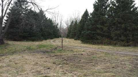 2249 Hidden Valley Howell, MI 48843 - Photo 2 of 2 20424730-1.JPG