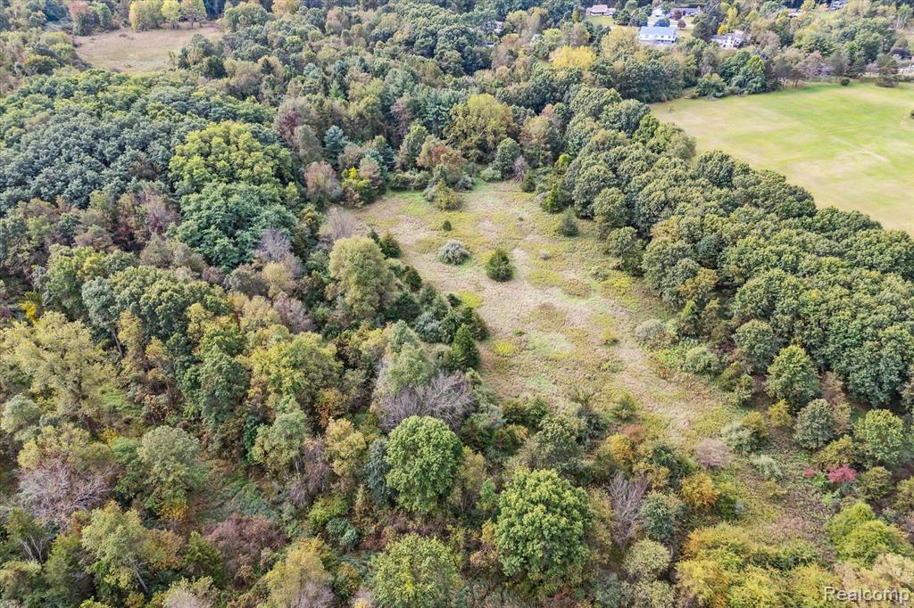0 Swarthout Road Pinckney, MI 48169 - Photo 12 of 16