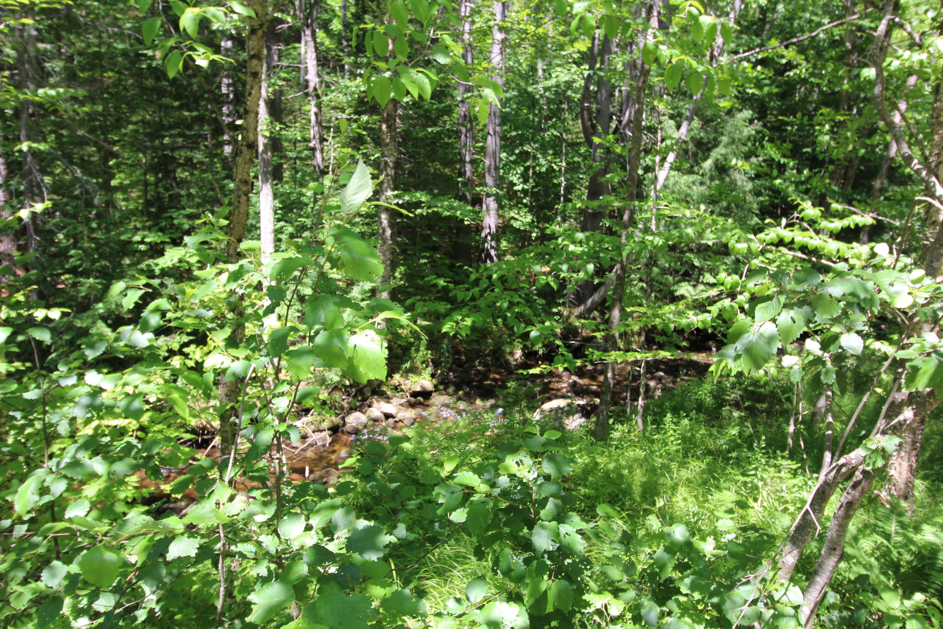 82 Coburn Brook Road Rumford, ME 04276 - Photo 6 of 7 IMG_2116