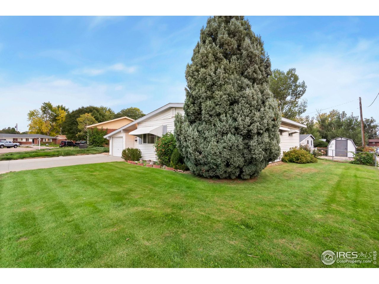 2046 26th Street Road Greeley, CO 80631 - Photo 6 of 34 a view of a field of grass and trees