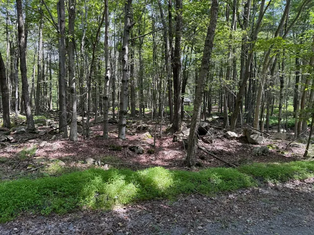 a view of outdoor space and tree