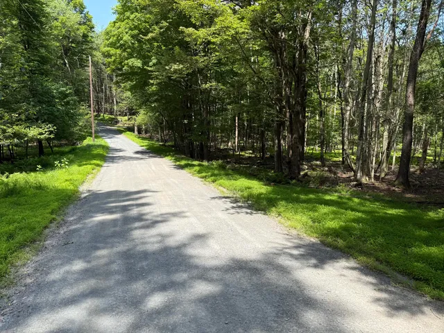 a view of a park with trees in front of it