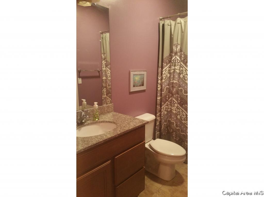 717 Racastle Road Chatham, IL 62629 - Photo 16 of 23 Gallery Image 16