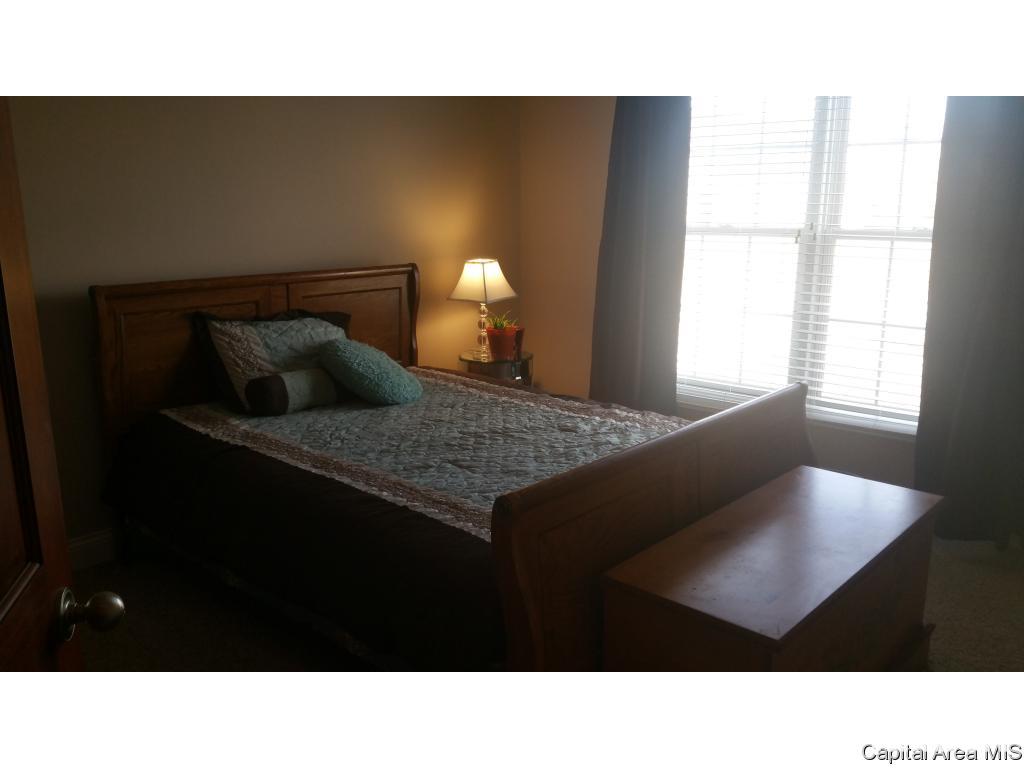 717 Racastle Road Chatham, IL 62629 - Photo 18 of 23 Gallery Image 18