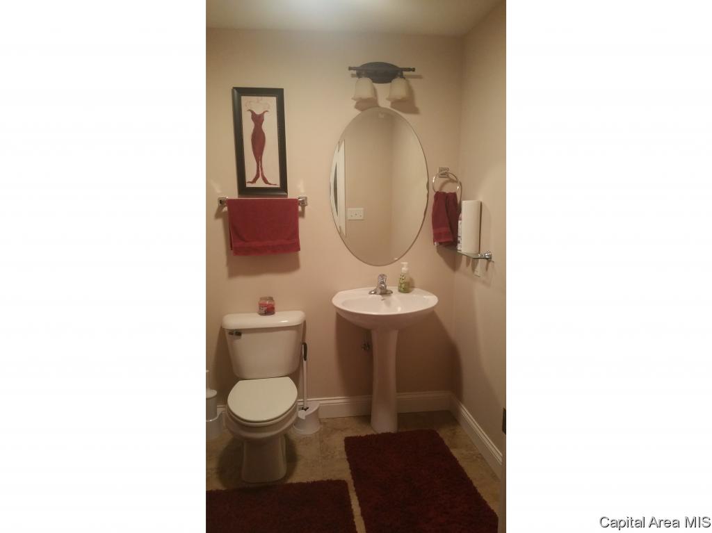 717 Racastle Road Chatham, IL 62629 - Photo 21 of 23 Gallery Image 21