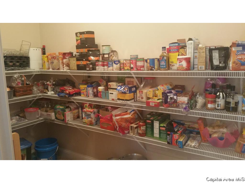 717 Racastle Road Chatham, IL 62629 - Photo 6 of 23 Gallery Image 6