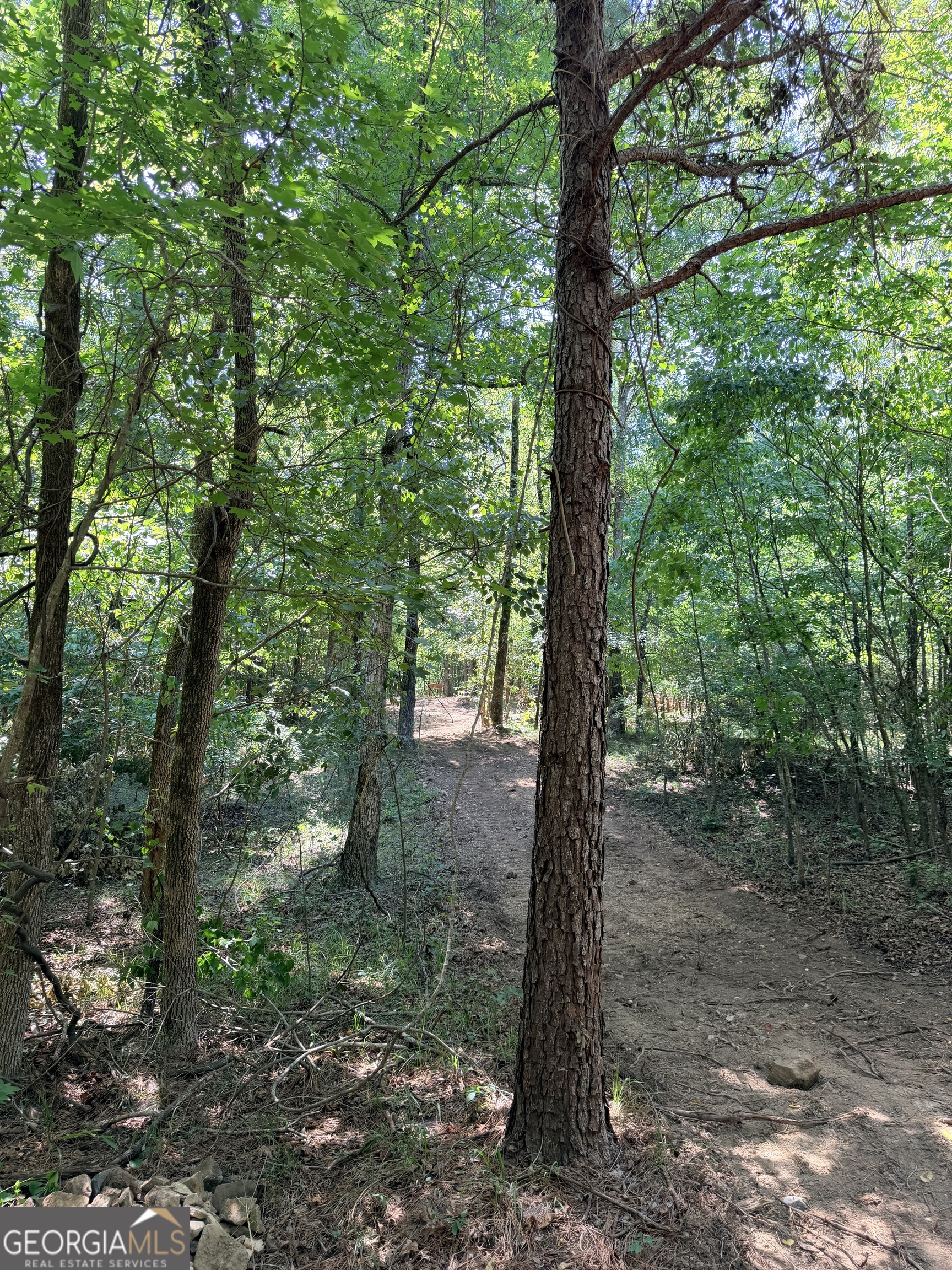 2 Bethesda Church Road Lexington, GA 30648 - Photo 68 of 73