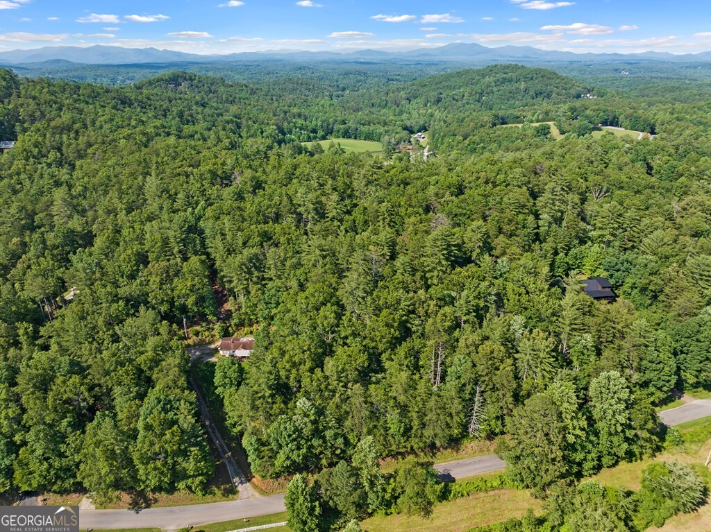 2-ac Ritchie Creek Road Blue Ridge, GA 30513 - Photo 8 of 12
