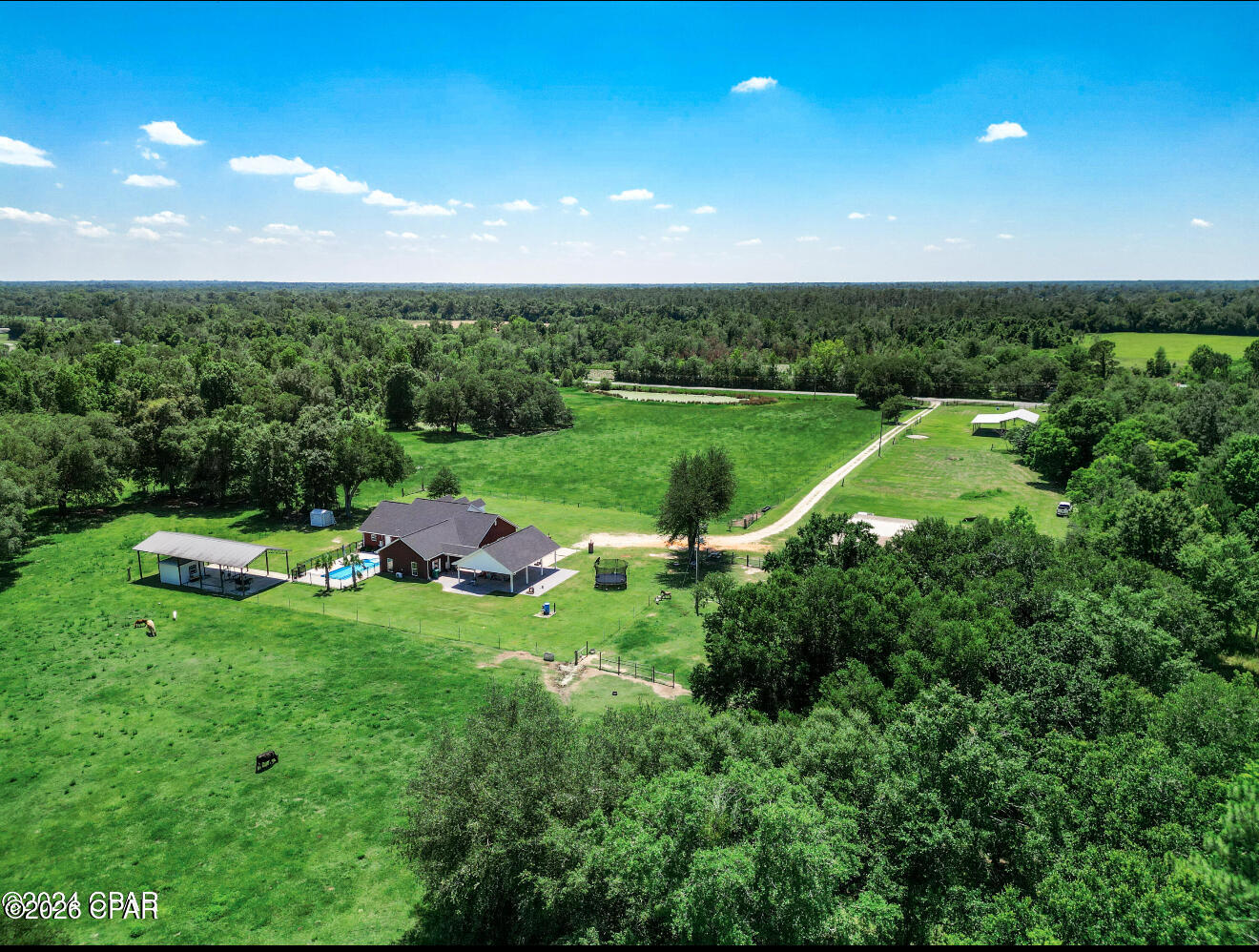 3172 Sandridge Church Road Sneads, FL 32460 - Photo 13 of 32