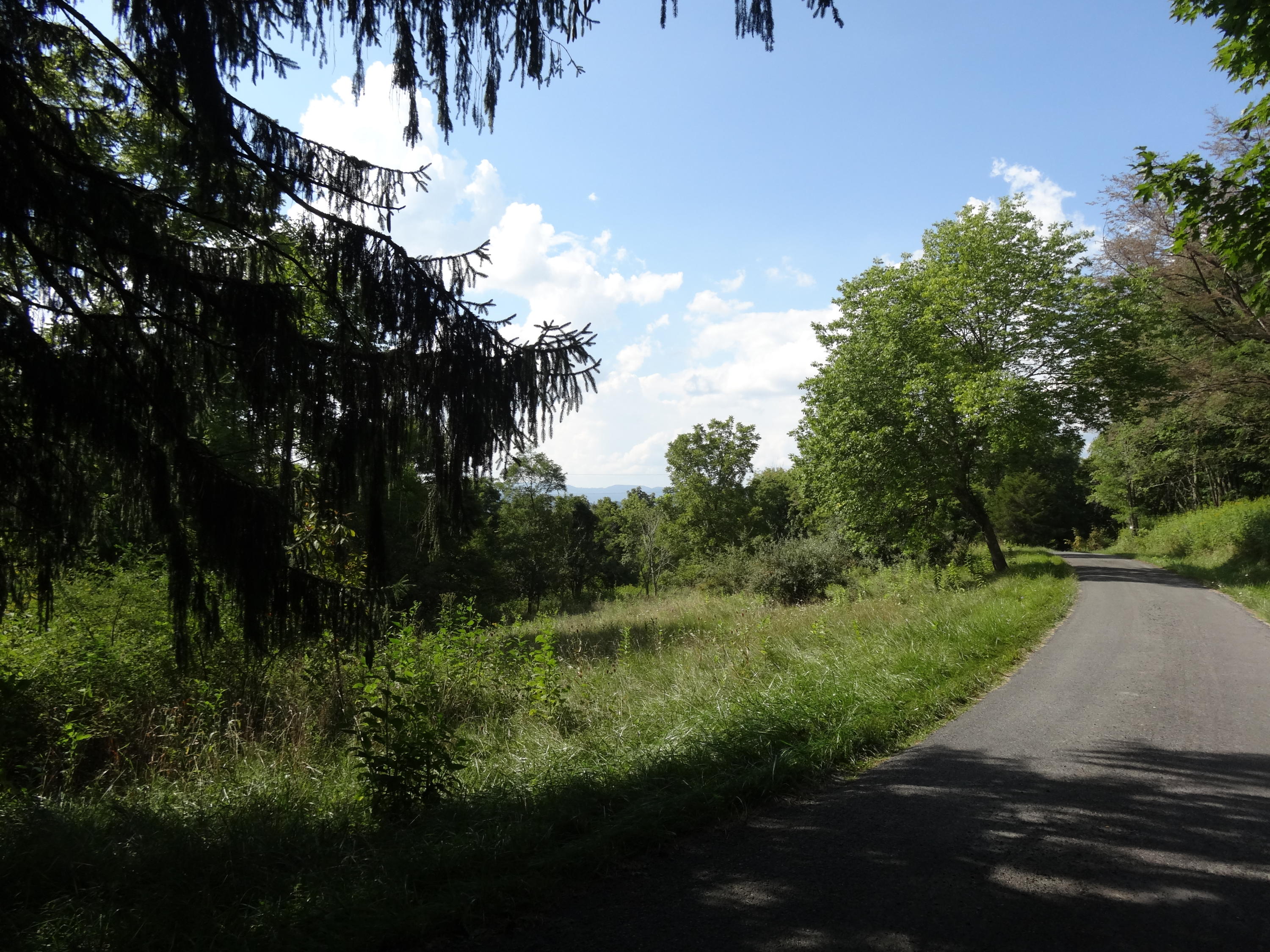 Knobbs Rd Union Union, WV 24983 - Photo 4 of 47 Gallery Image 4