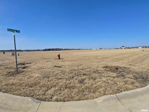 a view of a walk in the yard
