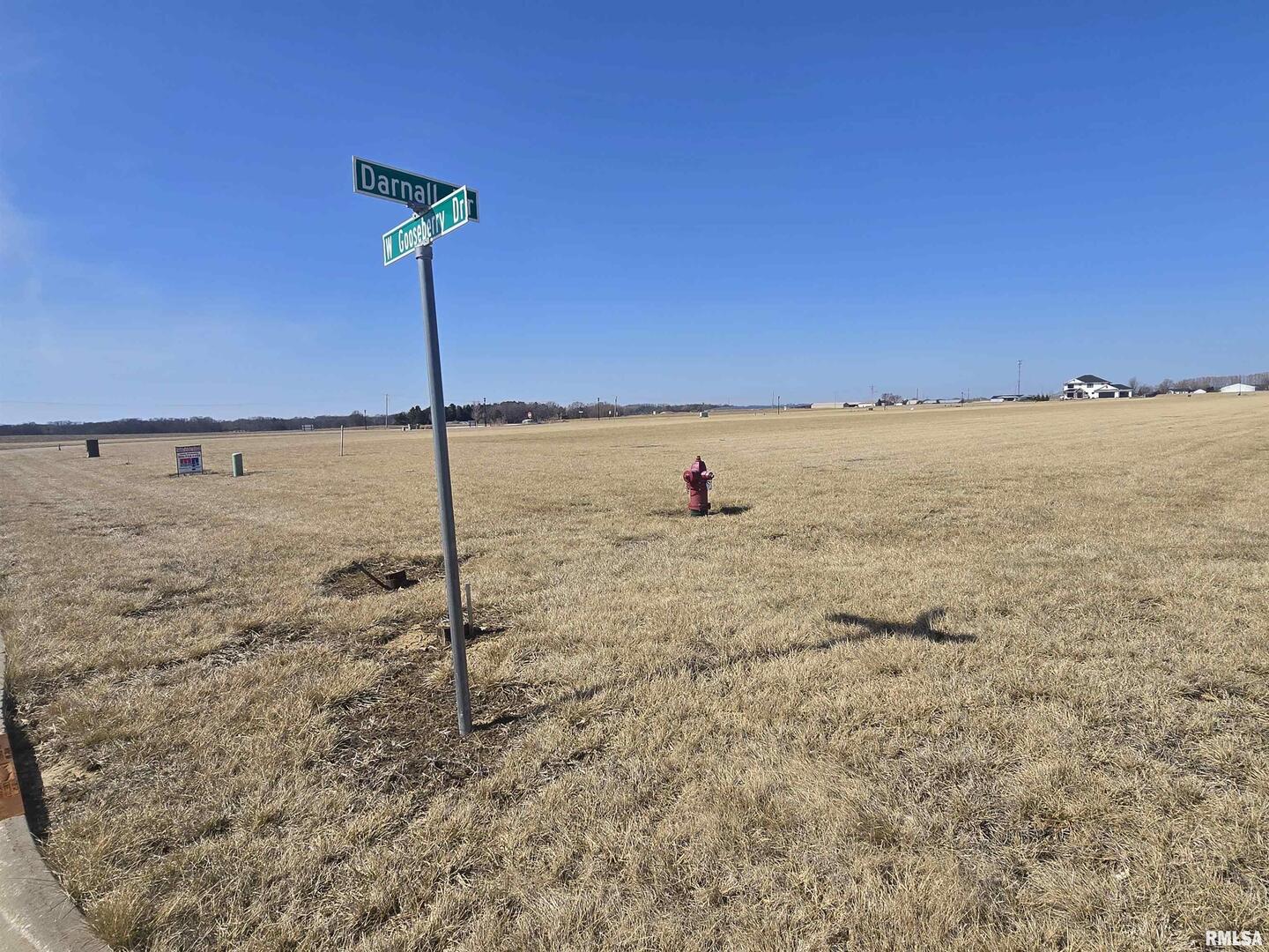 803 Darnall Drive Geneseo, IL 61254 - Photo 15 of 17 a view of a walk in the yard