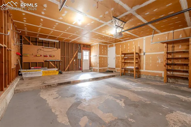 a view of backyard with tree