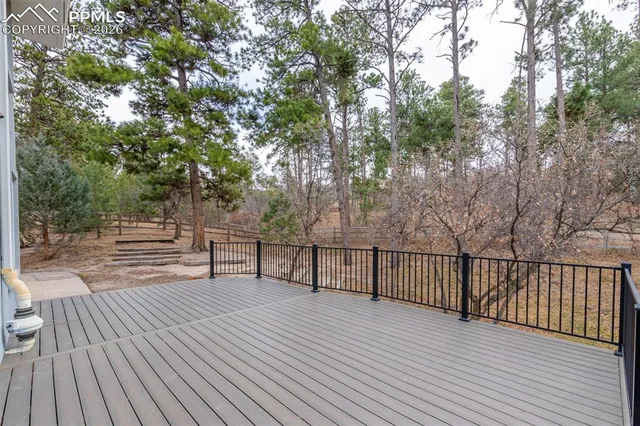 a small garden covered with tall trees
