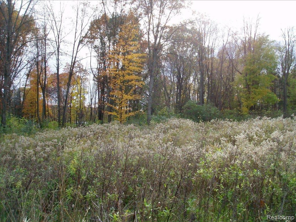 2250 East Coon Lake Road Howell, MI 48843 - Photo 10 of 13 P1010071.JPG