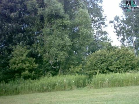 0 Patrick Road North Branch, MI 48461 - Photo 1 of 1 884513.JPG