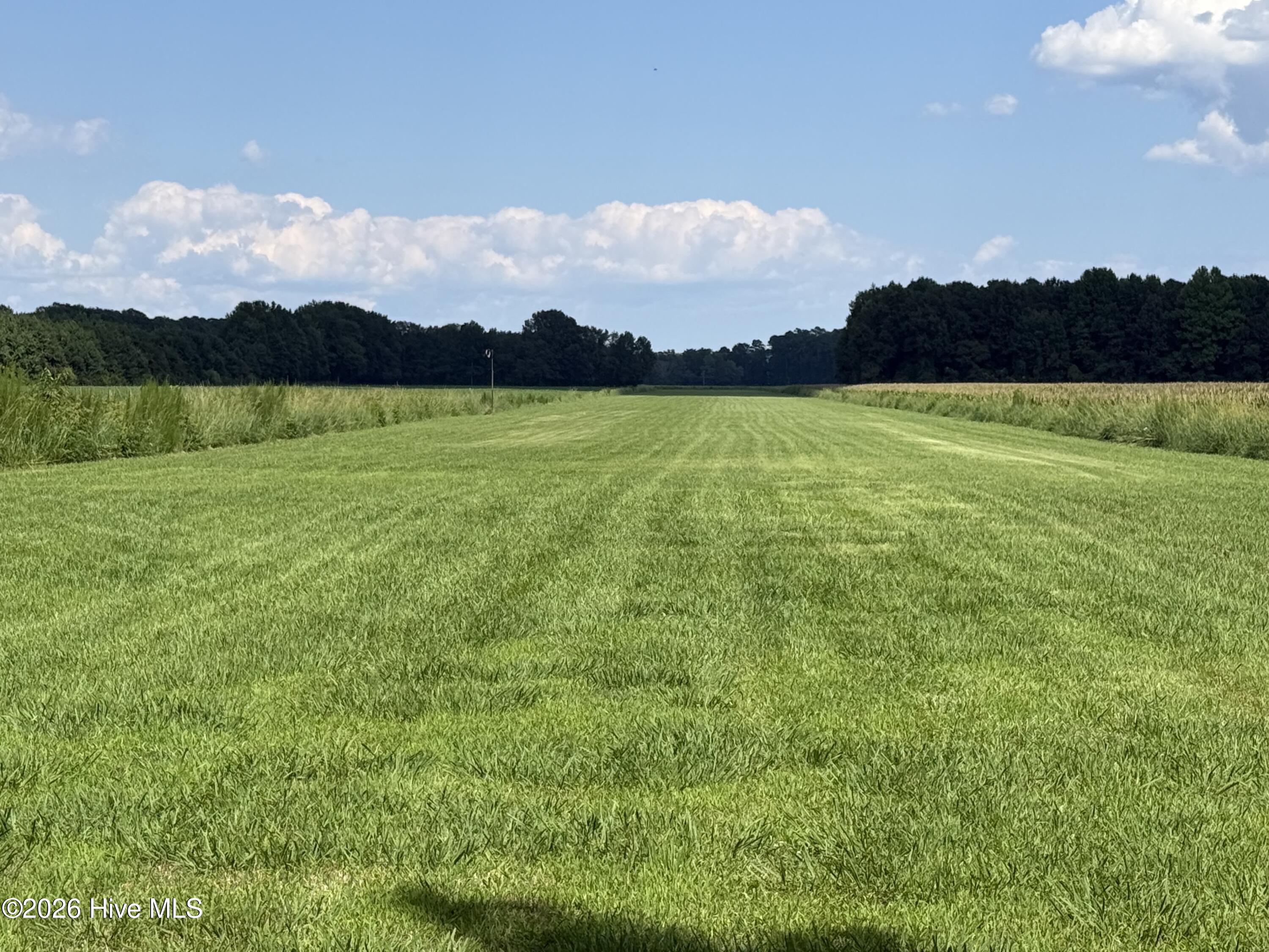 0 Bay City Road Aurora, NC 27806 - Photo 12 of 17 Gallery Image 12