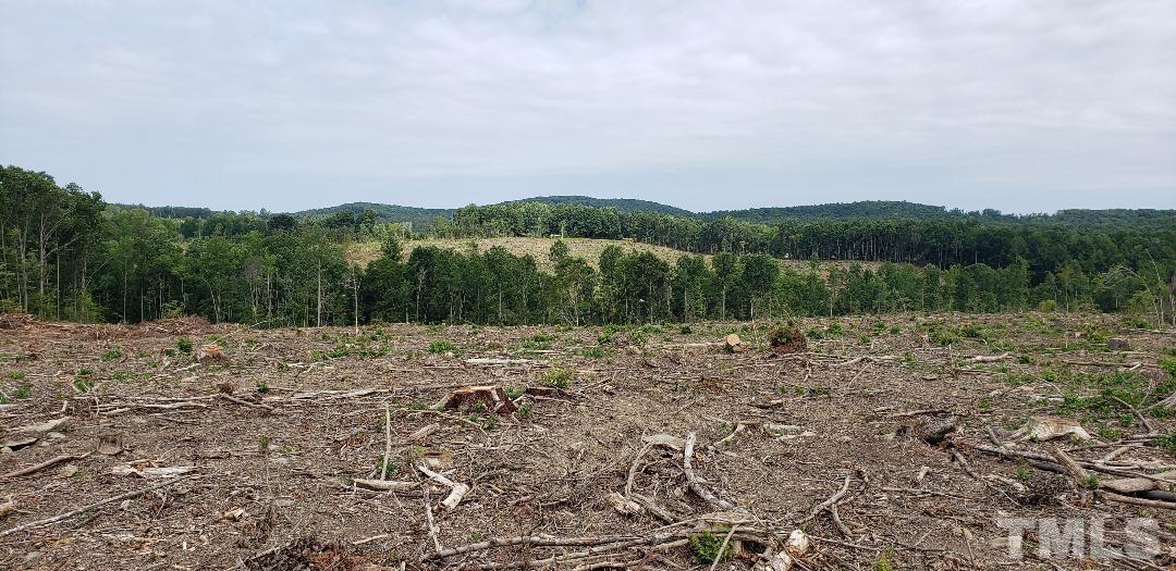 a view of a dry yard with mountains in the background