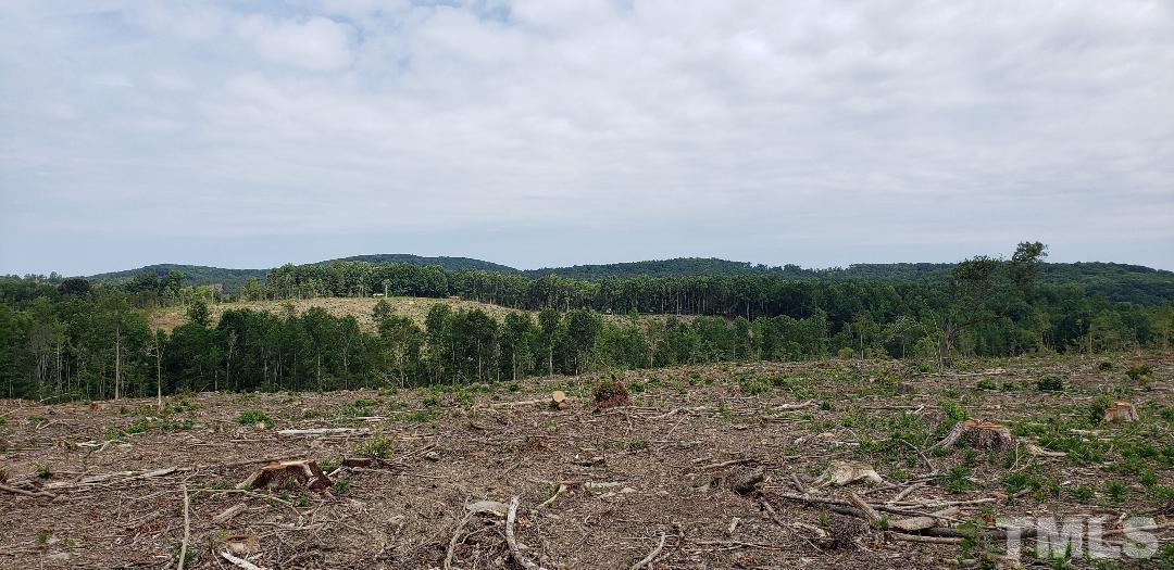 7100 Farmer Road Denton, NC 27239 - Photo 4 of 4 a view of a lake with a mountain in the background
