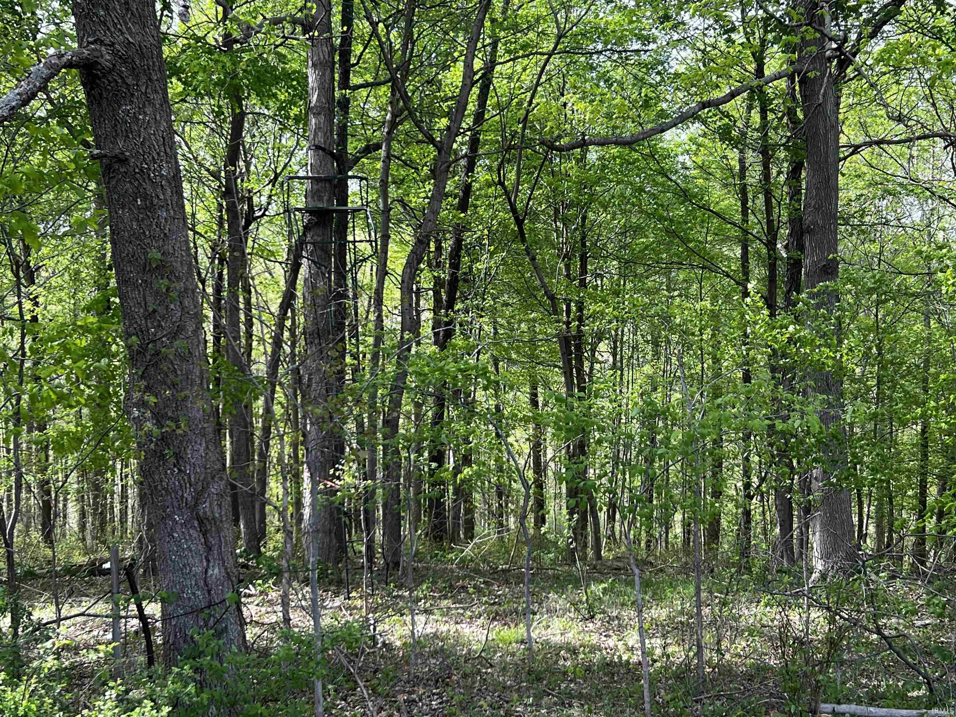 Boyd Road Tell City, IN 47586 - Photo 12 of 33