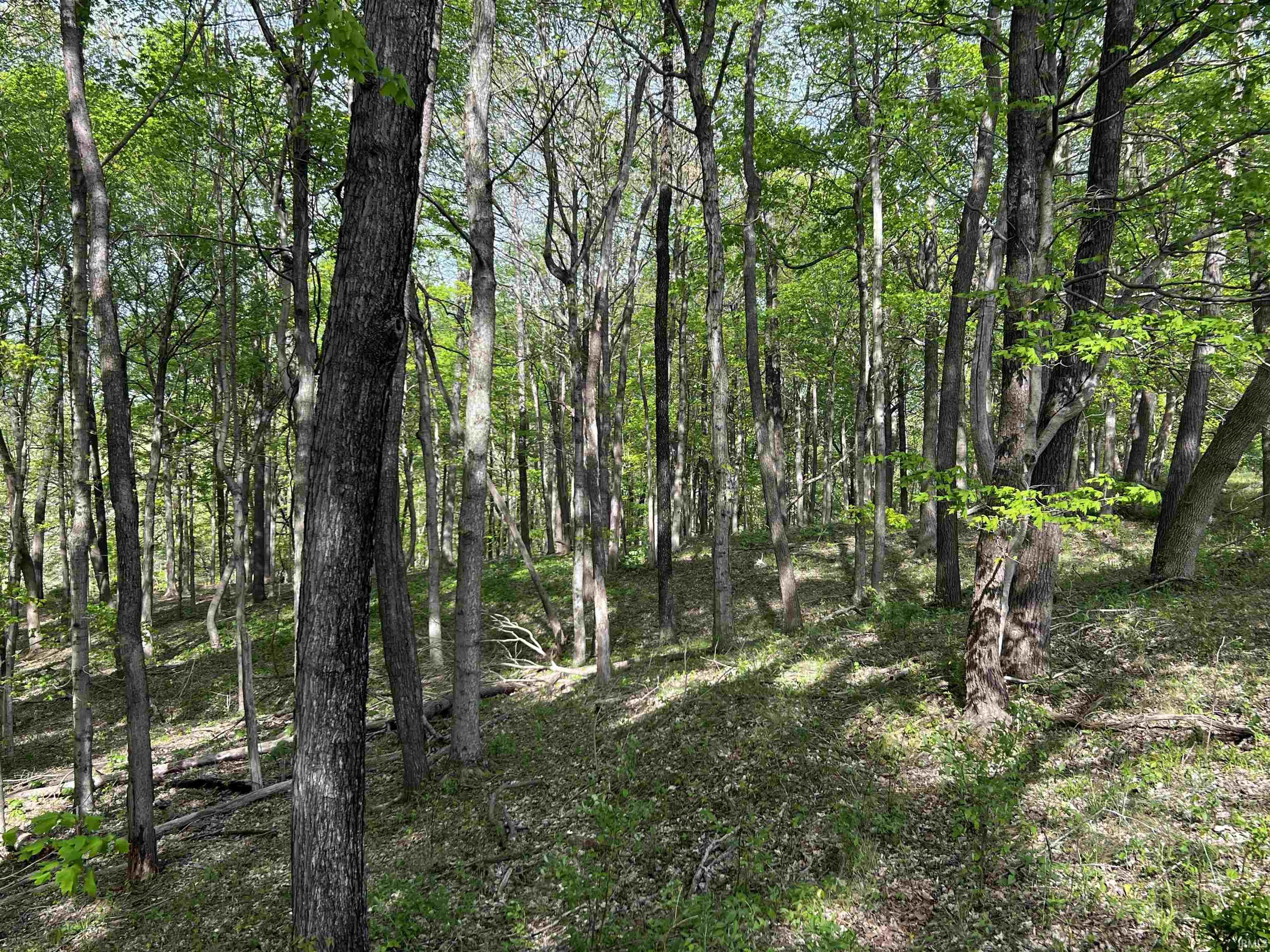 Boyd Road Tell City, IN 47586 - Photo 14 of 33