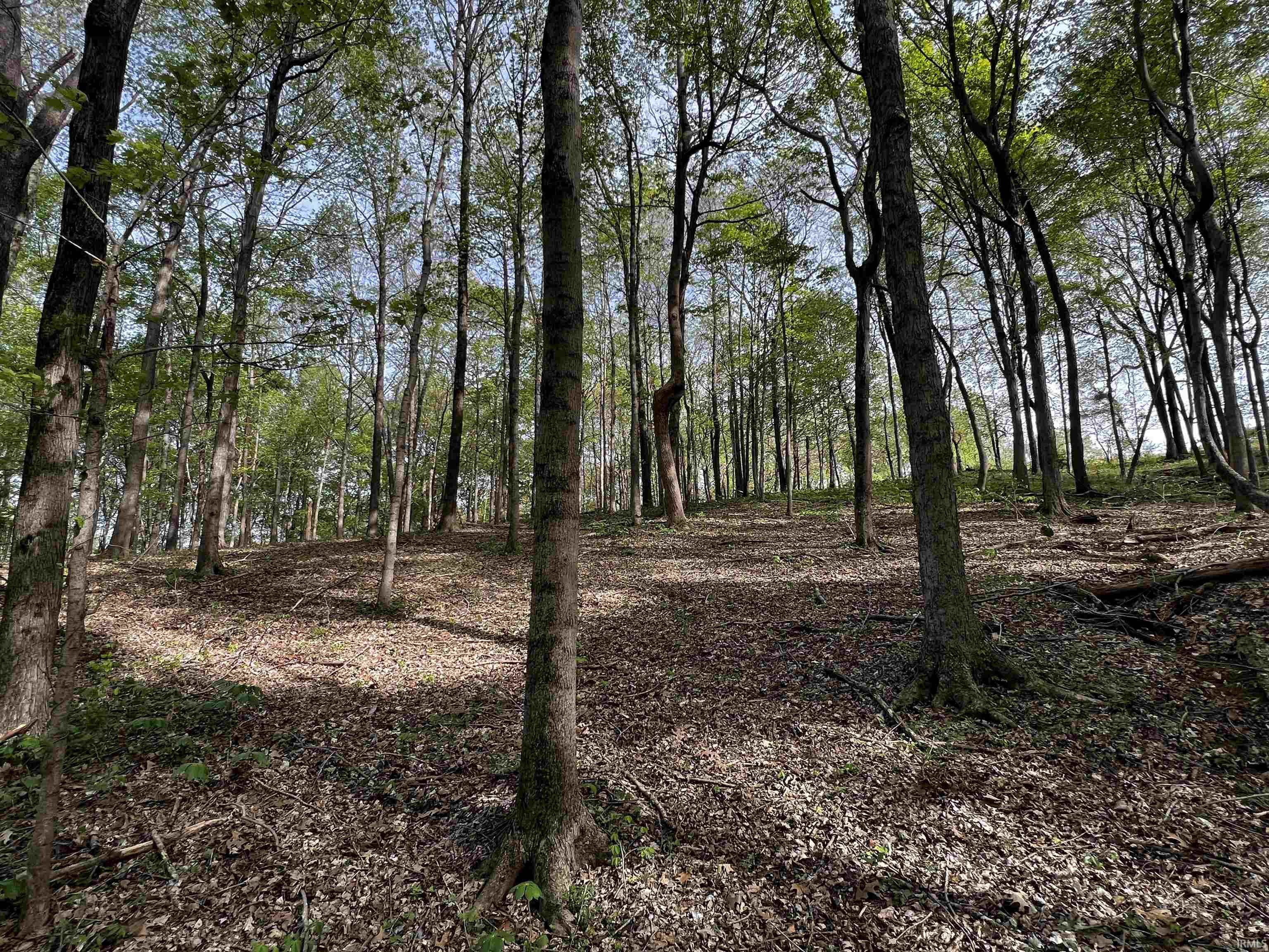 Boyd Road Tell City, IN 47586 - Photo 15 of 33