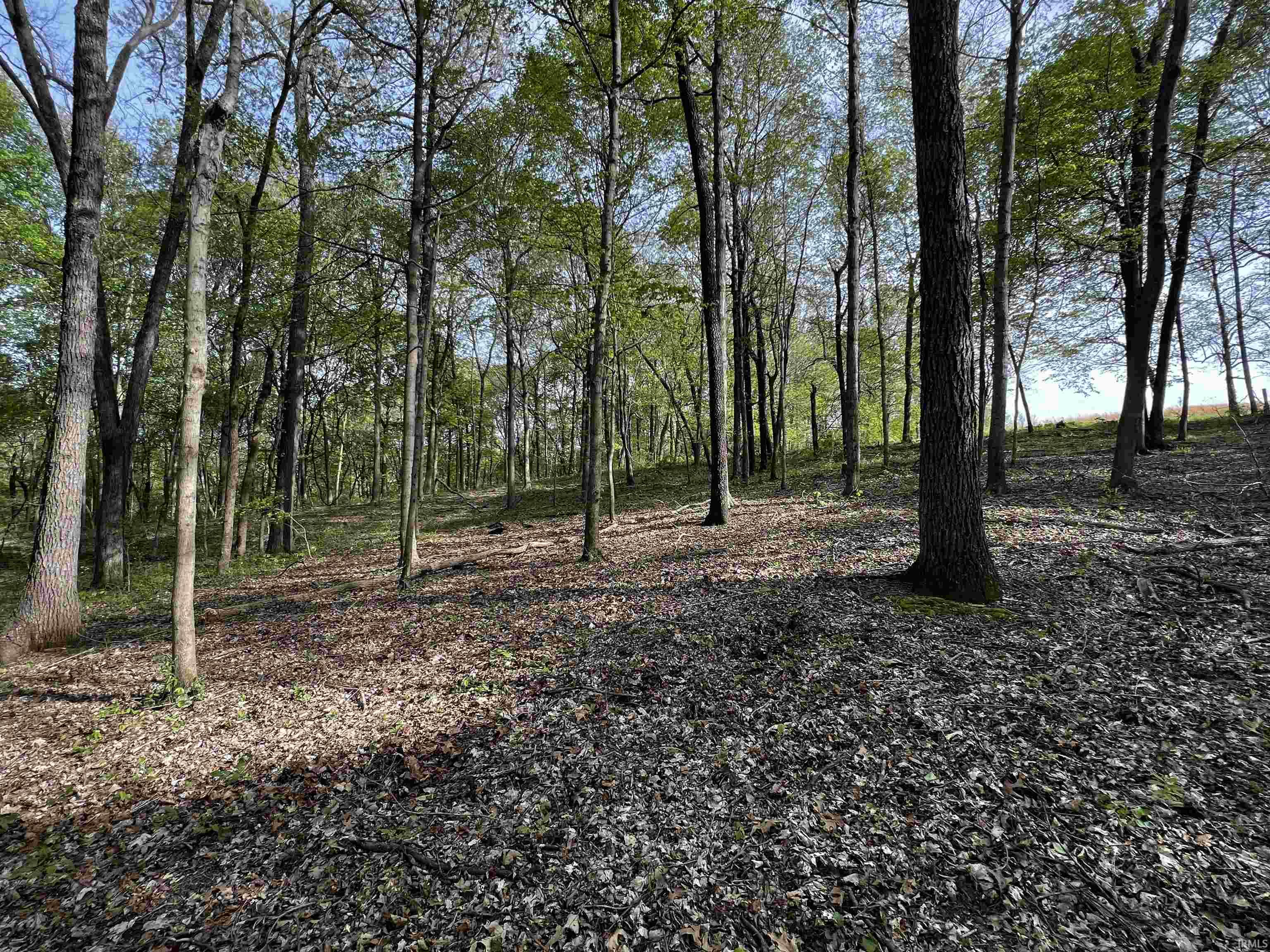 Boyd Road Tell City, IN 47586 - Photo 16 of 33