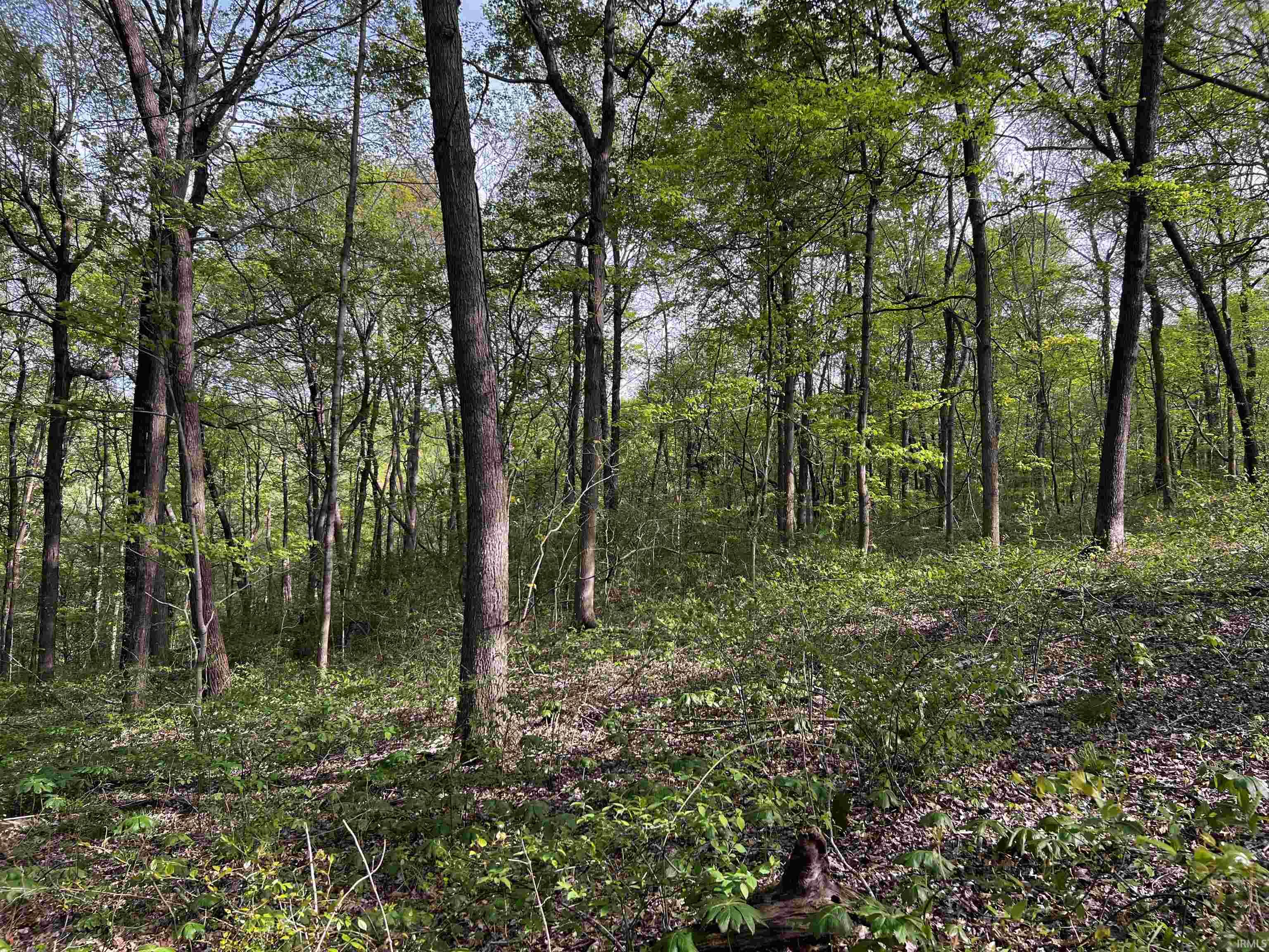 Boyd Road Tell City, IN 47586 - Photo 17 of 33