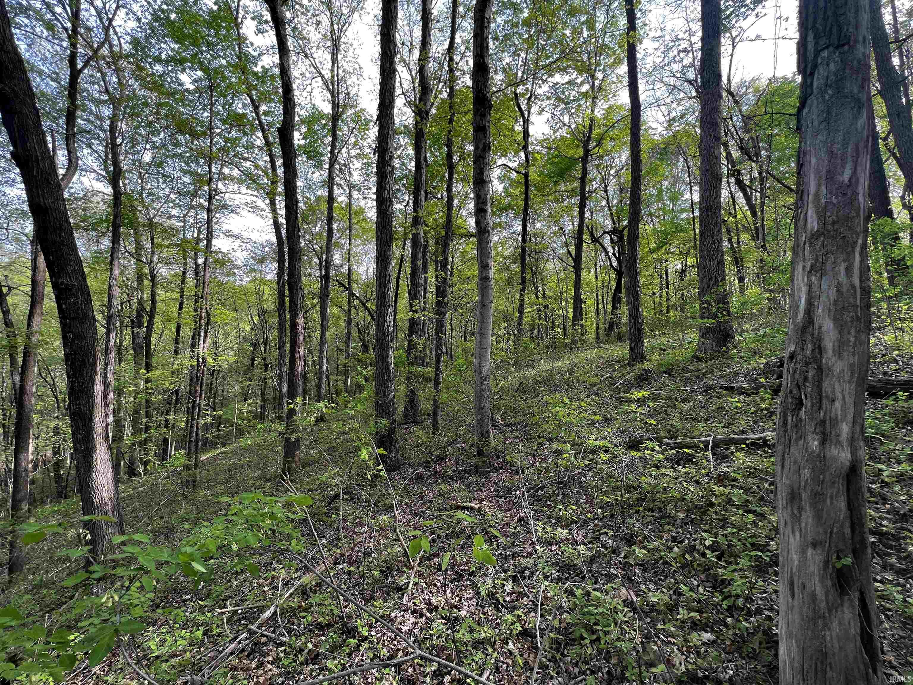 Boyd Road Tell City, IN 47586 - Photo 18 of 33