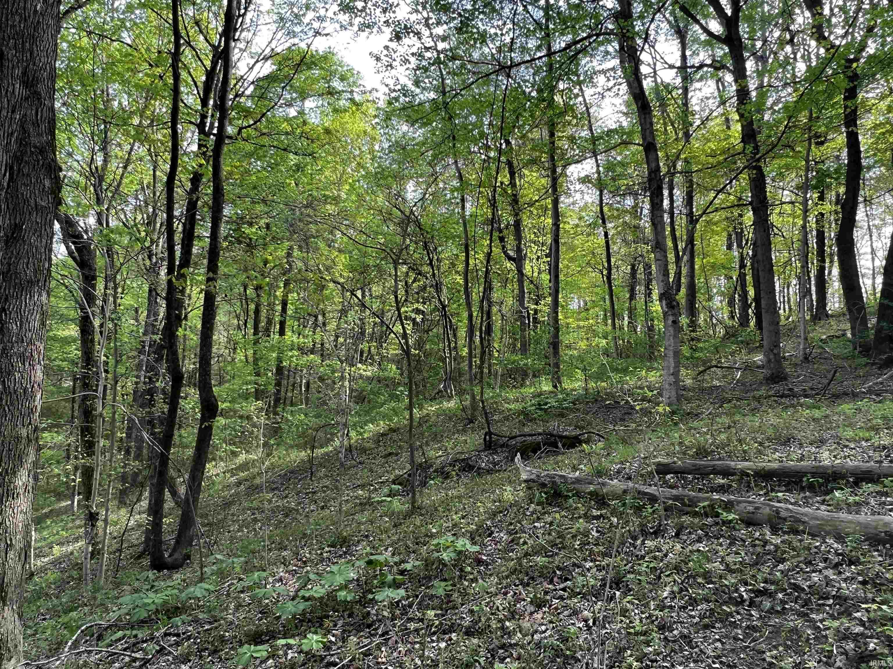 Boyd Road Tell City, IN 47586 - Photo 19 of 33