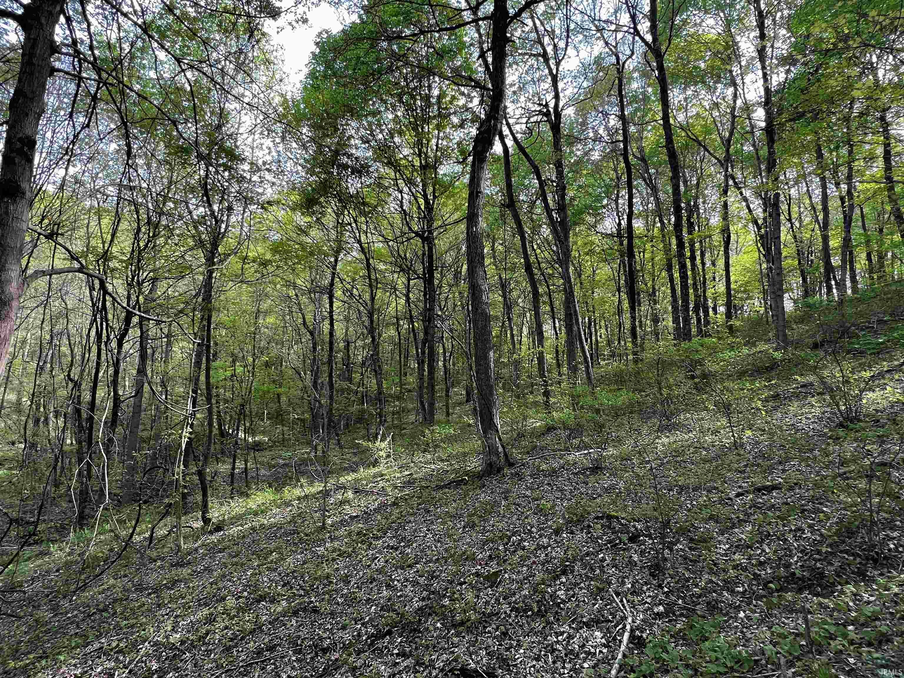 Boyd Road Tell City, IN 47586 - Photo 20 of 33