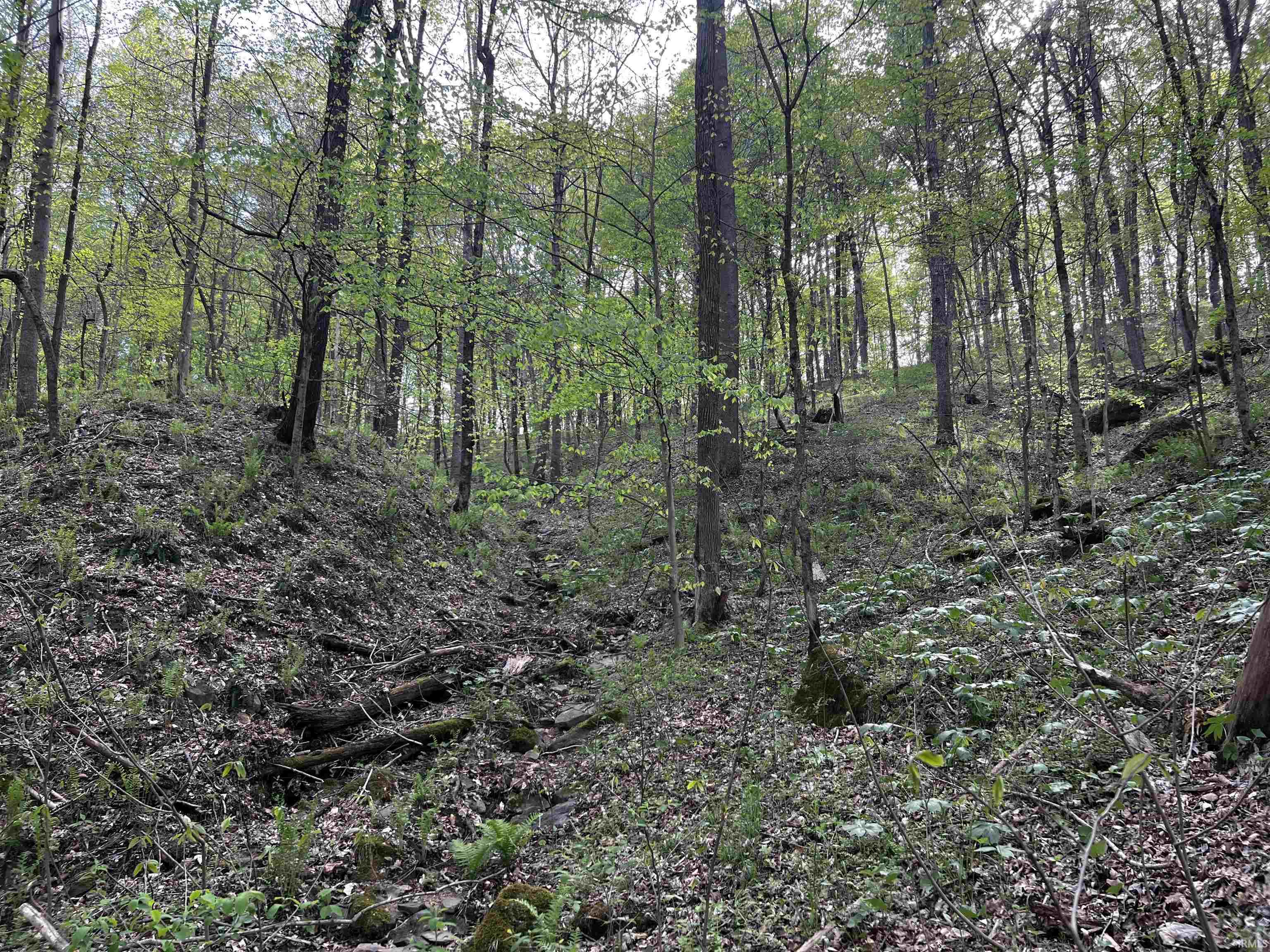 Boyd Road Tell City, IN 47586 - Photo 21 of 33