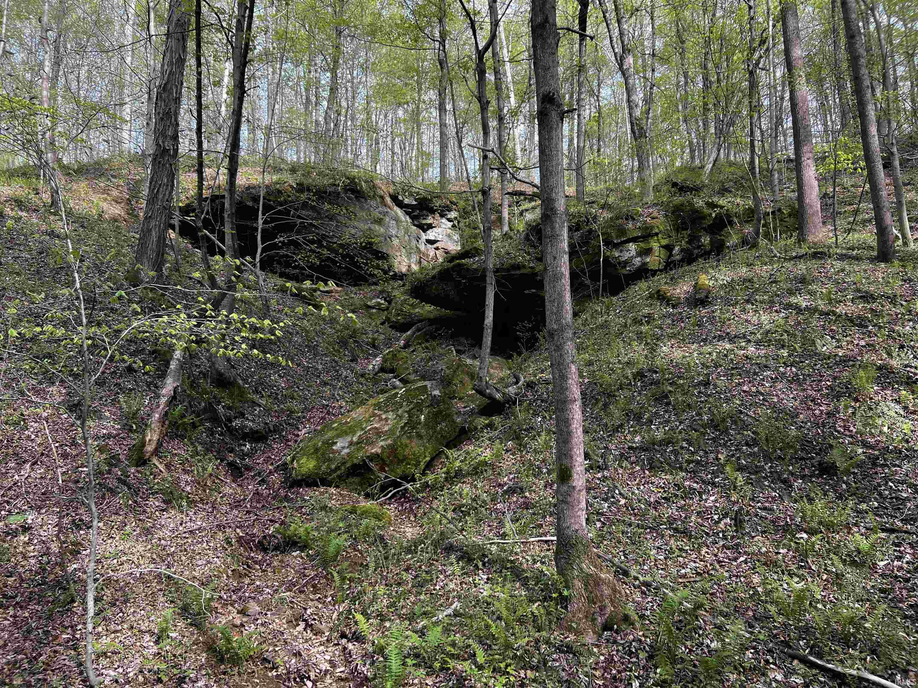 Boyd Road Tell City, IN 47586 - Photo 22 of 33