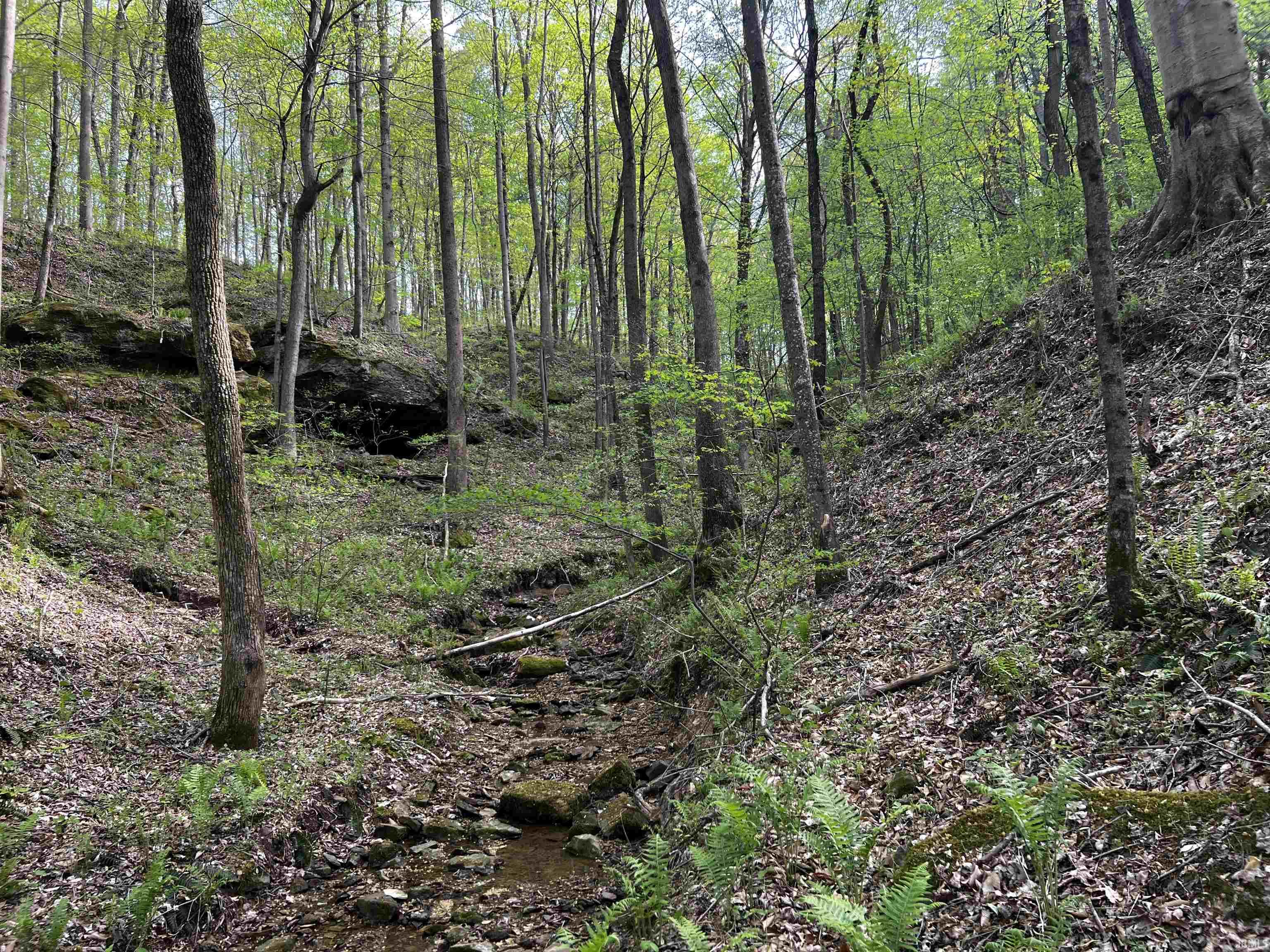 Boyd Road Tell City, IN 47586 - Photo 23 of 33