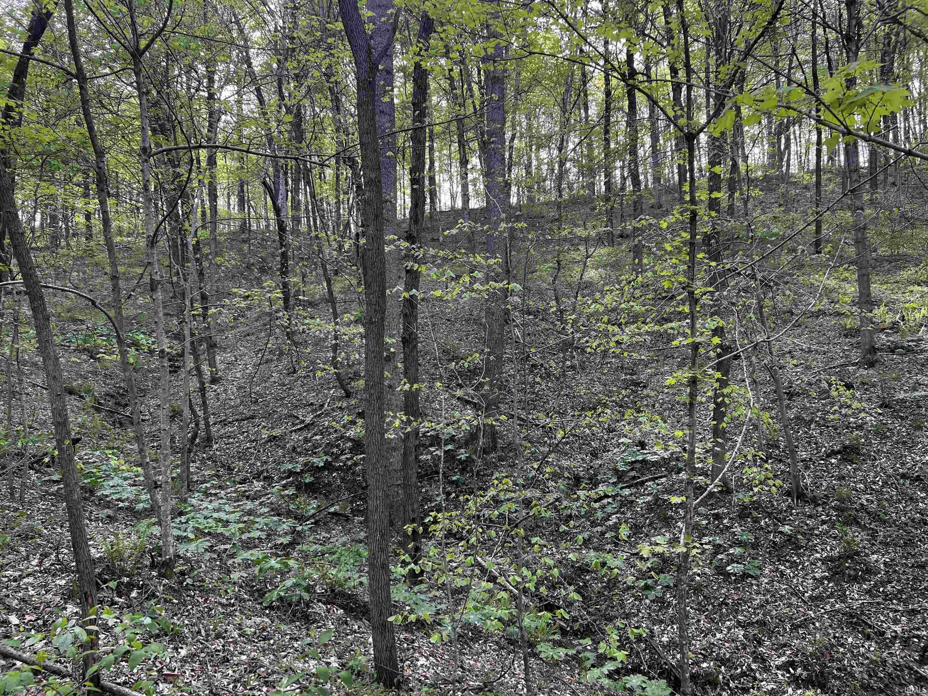 Boyd Road Tell City, IN 47586 - Photo 24 of 33