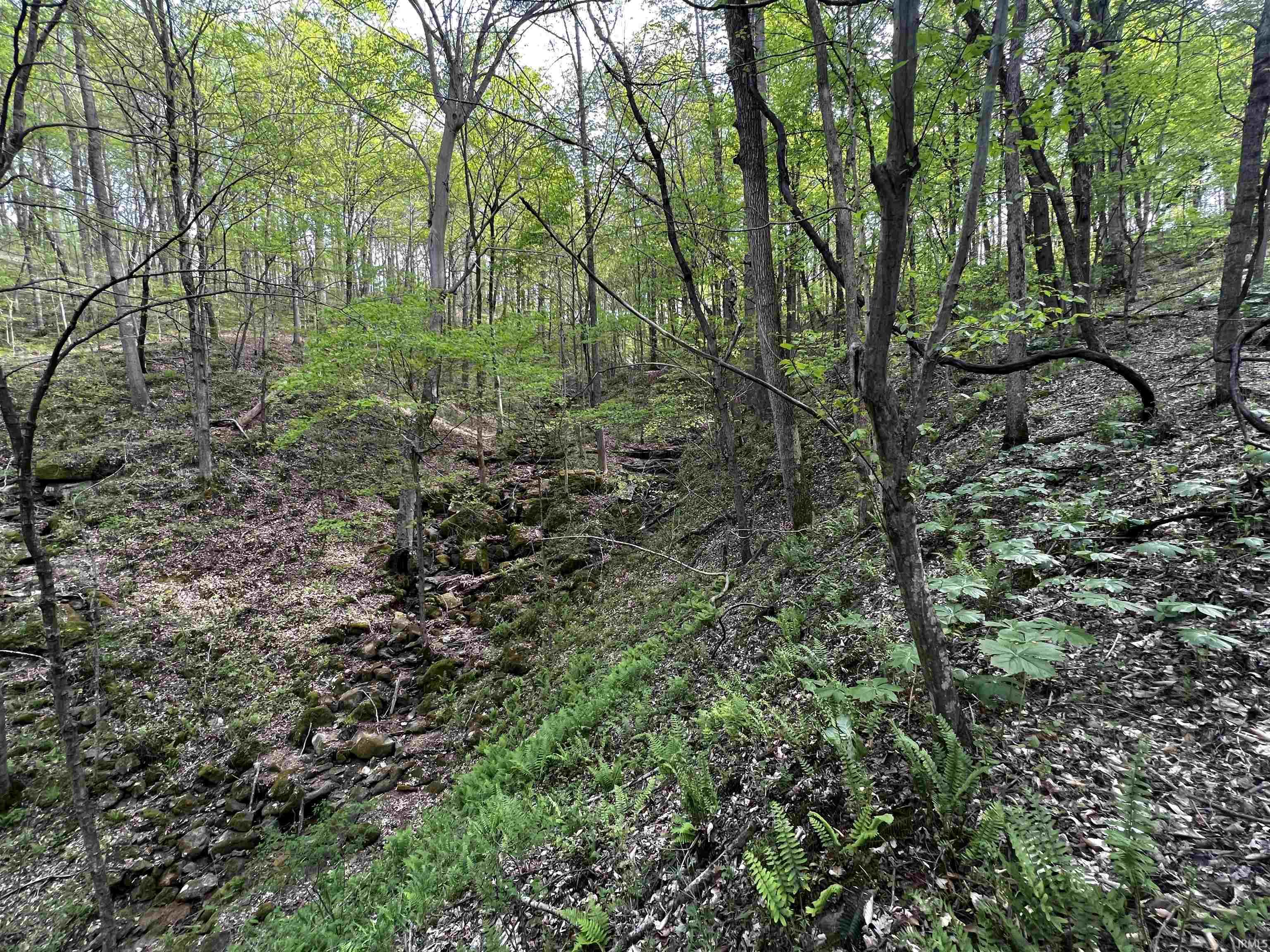 Boyd Road Tell City, IN 47586 - Photo 25 of 33