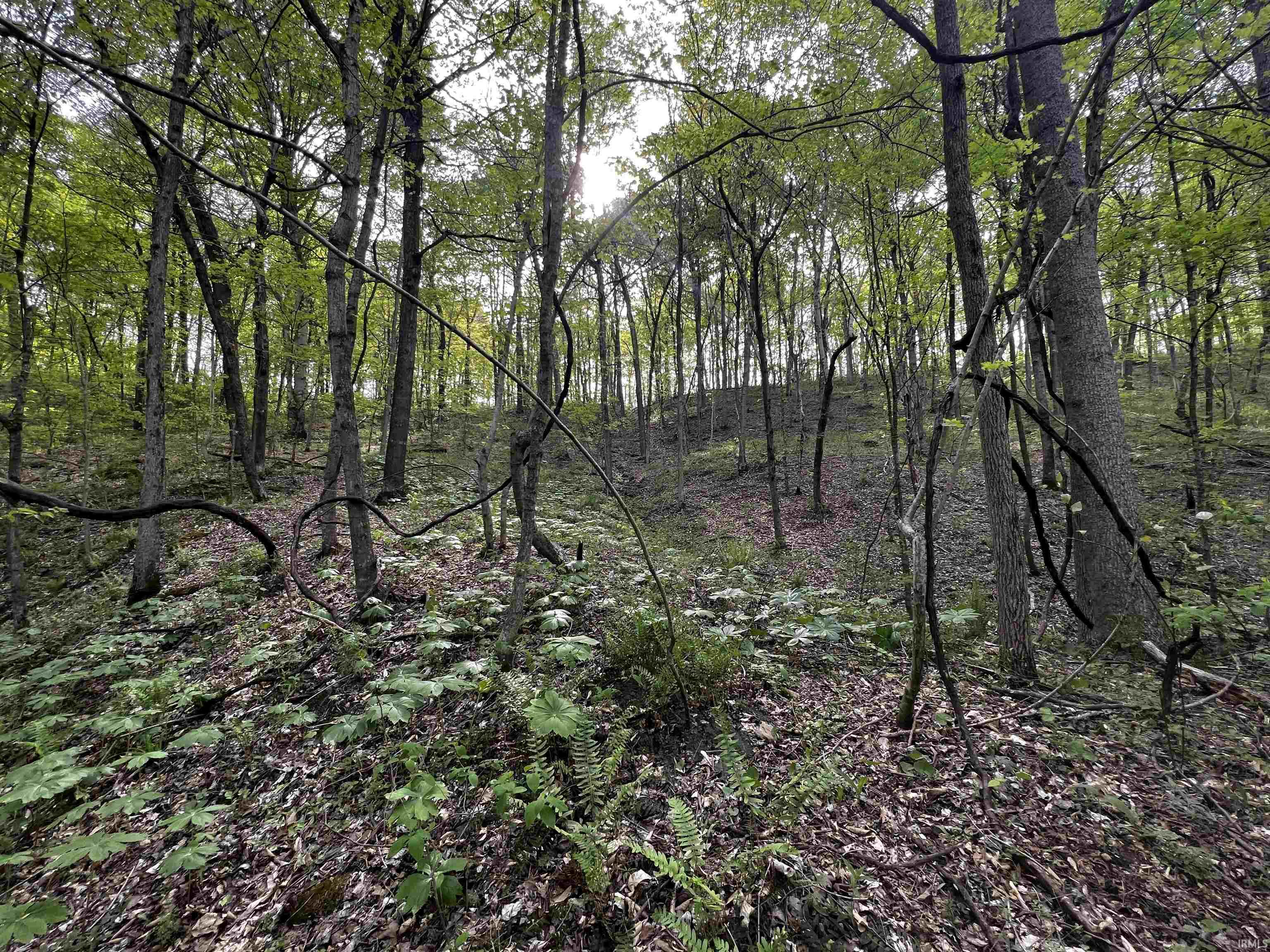 Boyd Road Tell City, IN 47586 - Photo 26 of 33