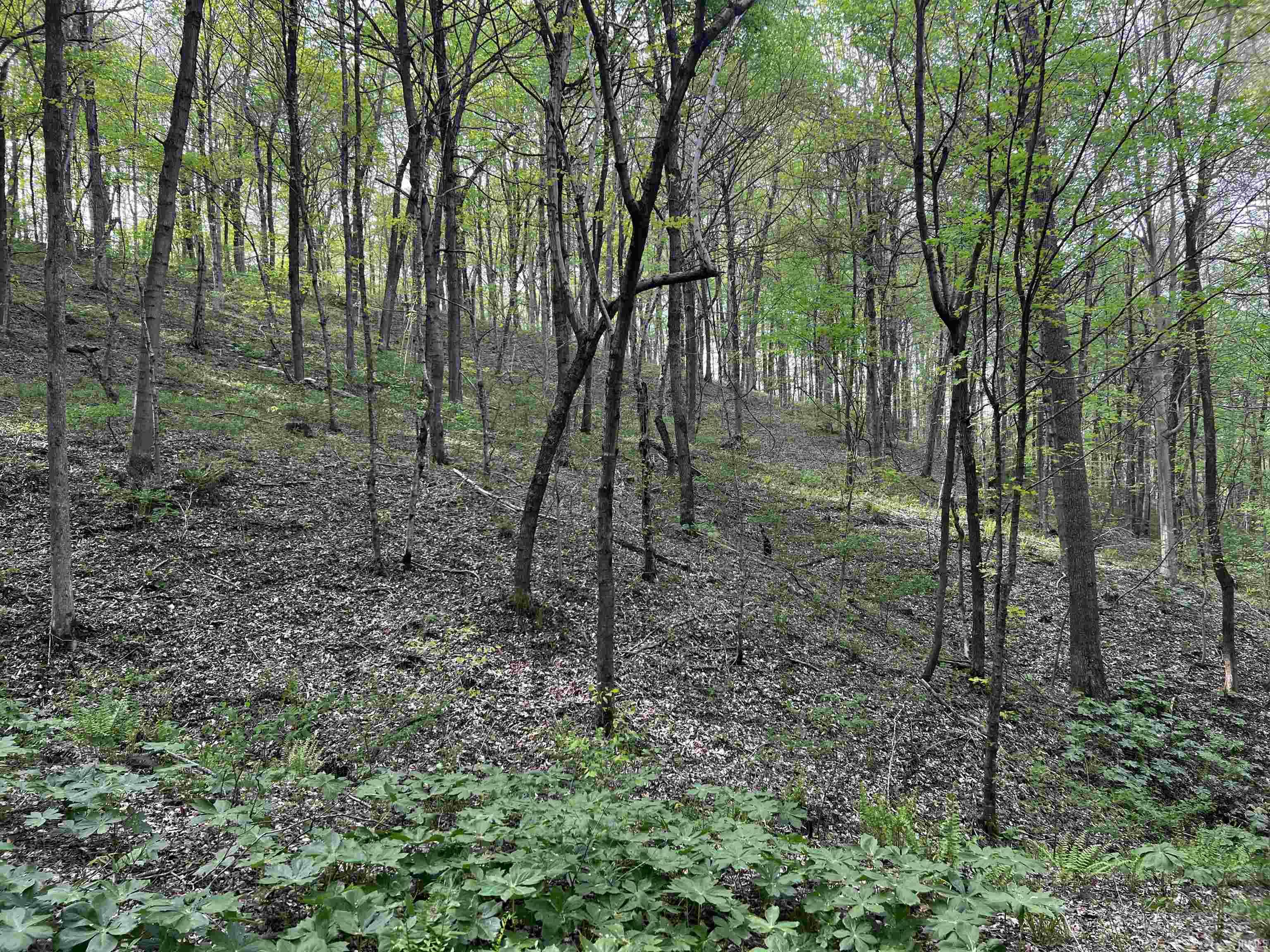 Boyd Road Tell City, IN 47586 - Photo 27 of 33