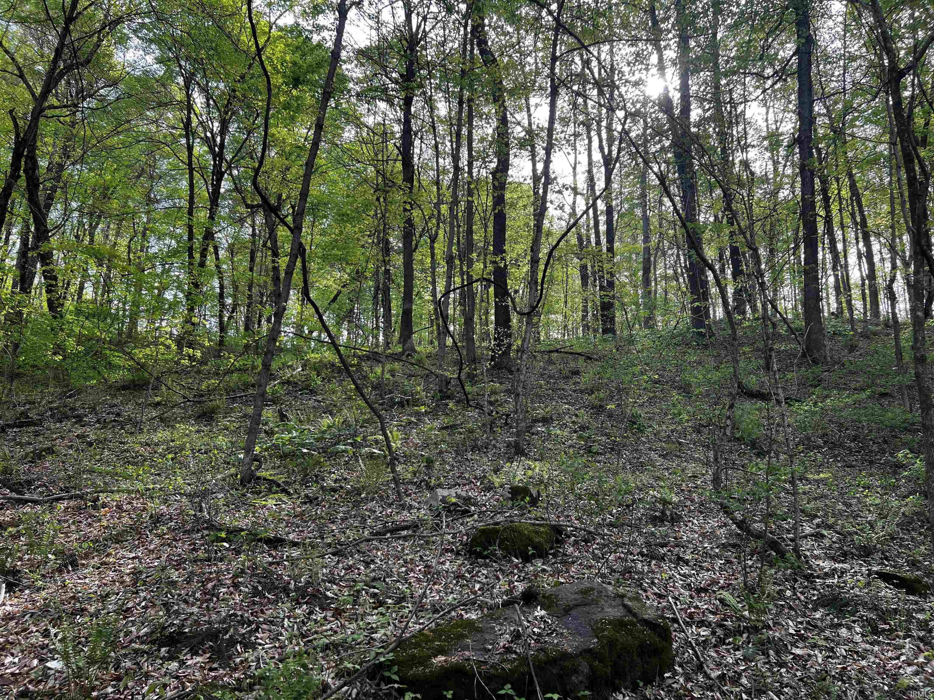 Boyd Road Tell City, IN 47586 - Photo 28 of 33