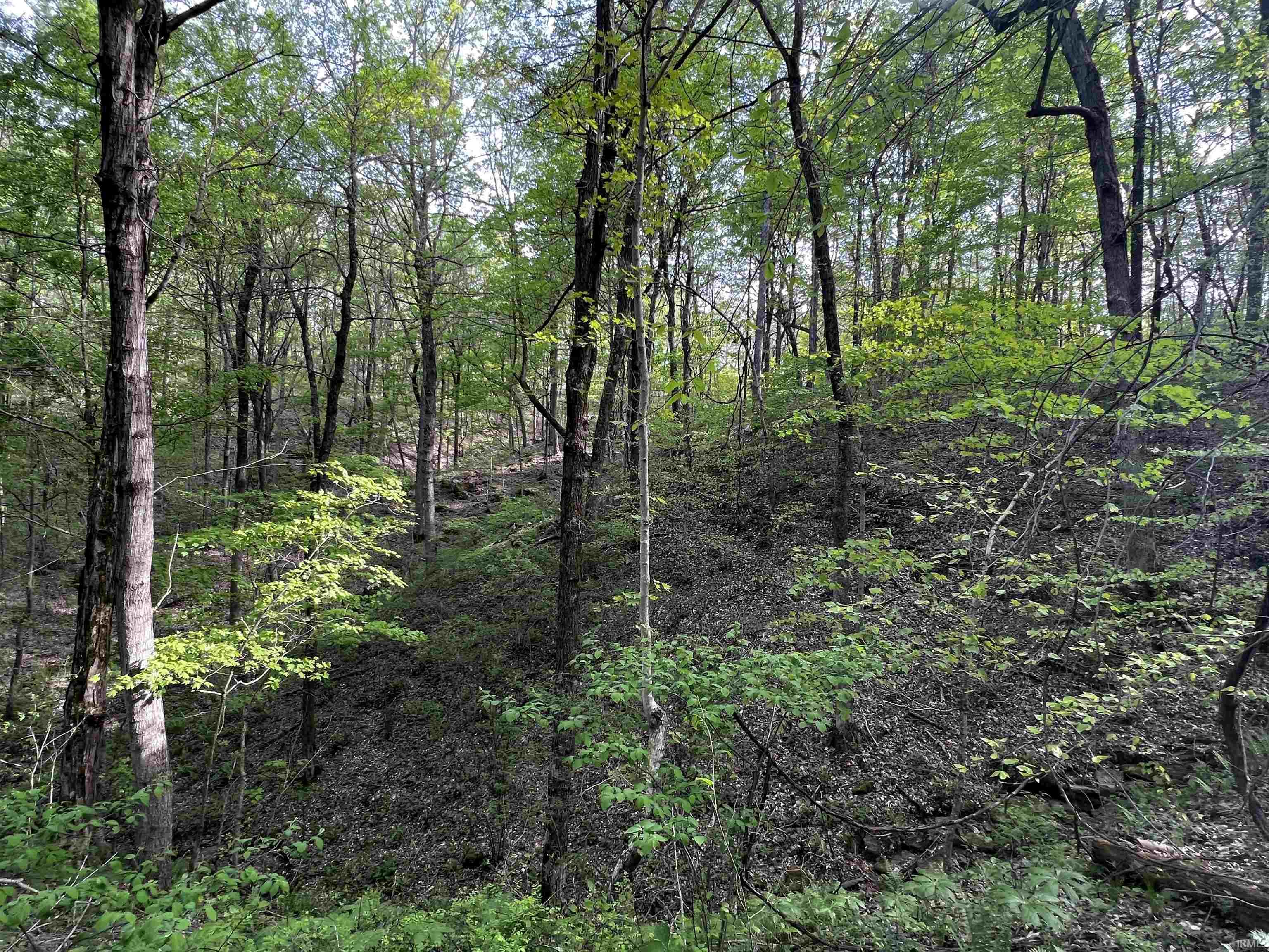 Boyd Road Tell City, IN 47586 - Photo 29 of 33