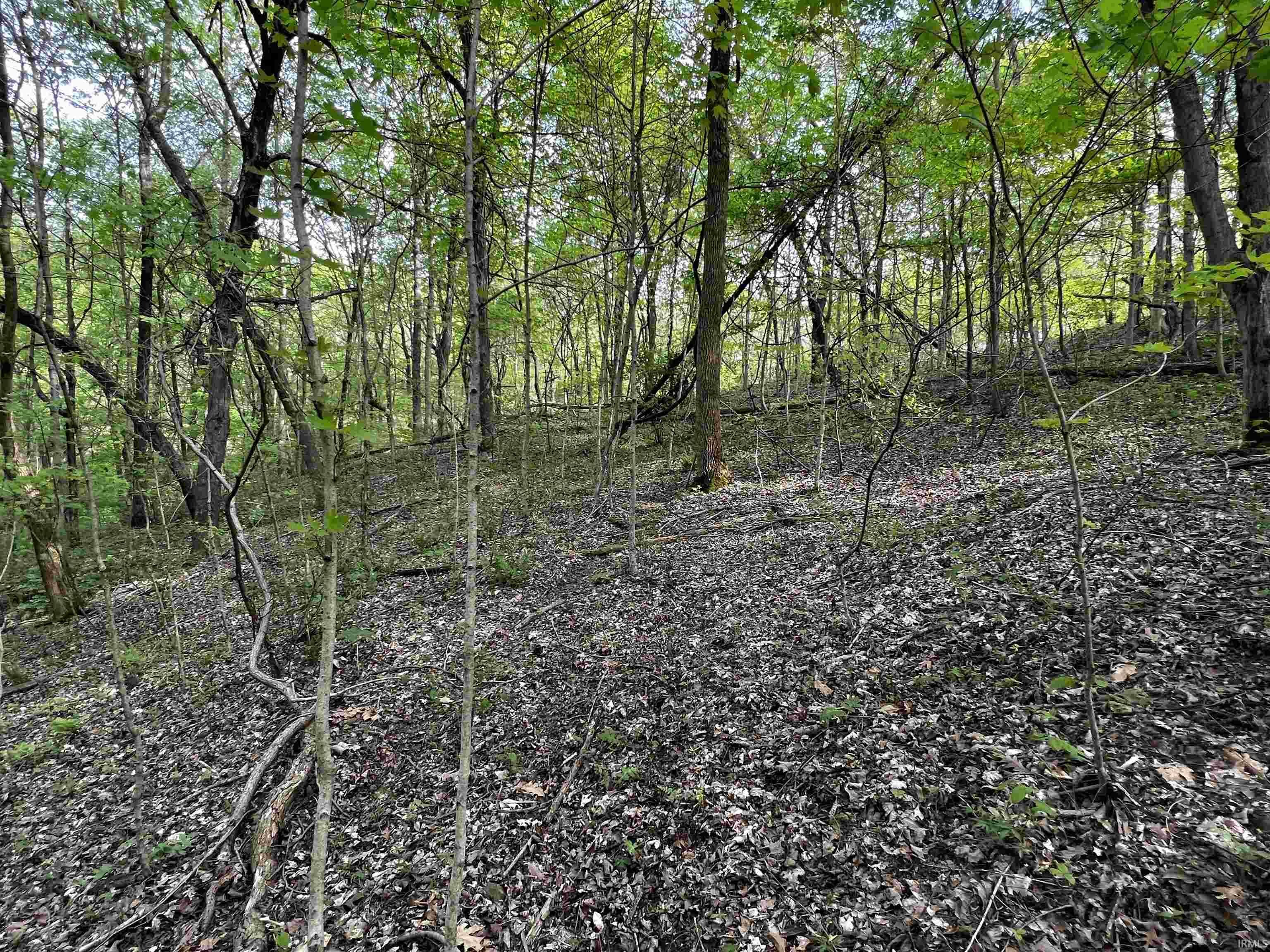 Boyd Road Tell City, IN 47586 - Photo 30 of 33