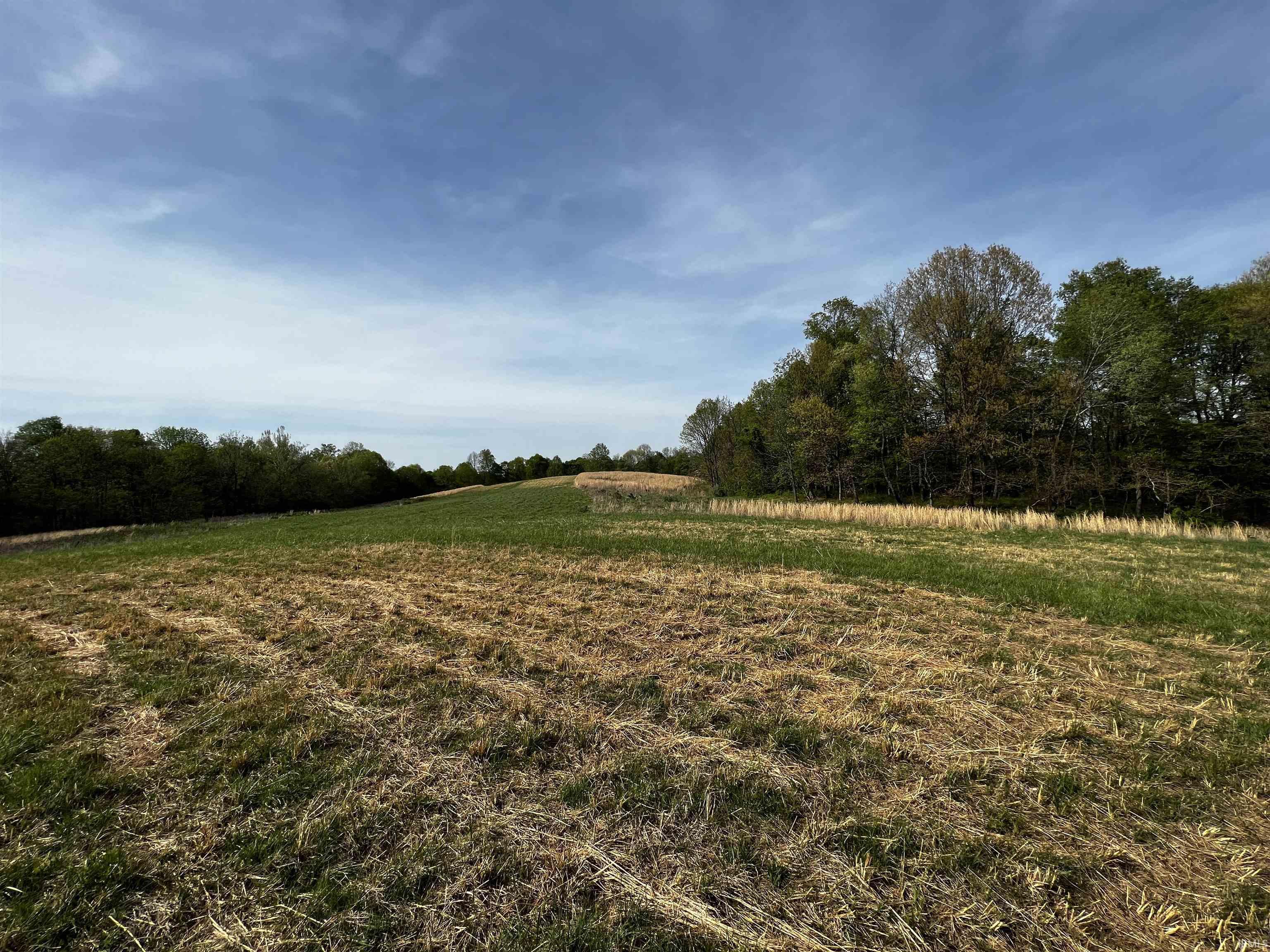 Boyd Road Tell City, IN 47586 - Photo 3 of 33