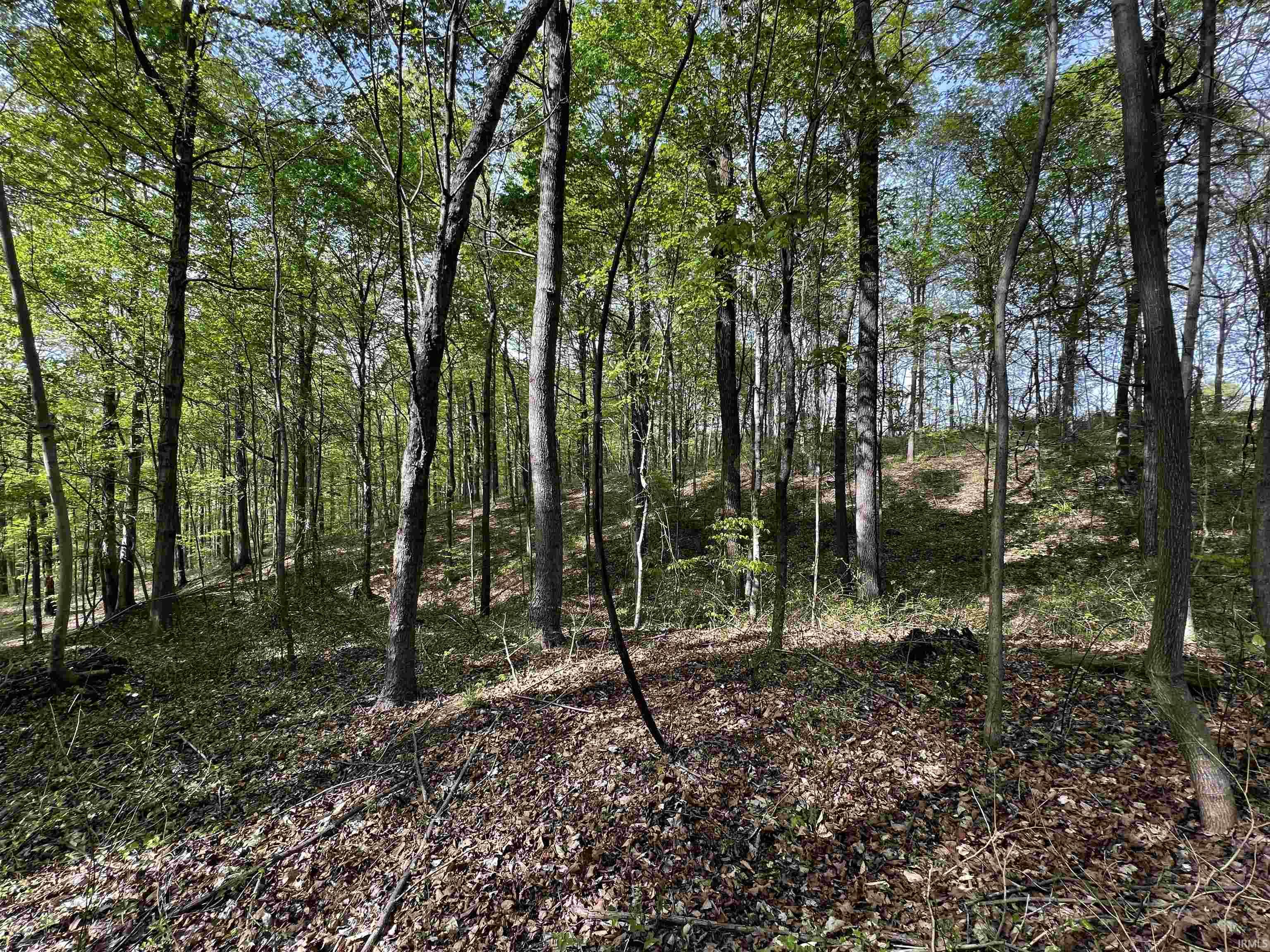 Boyd Road Tell City, IN 47586 - Photo 5 of 33