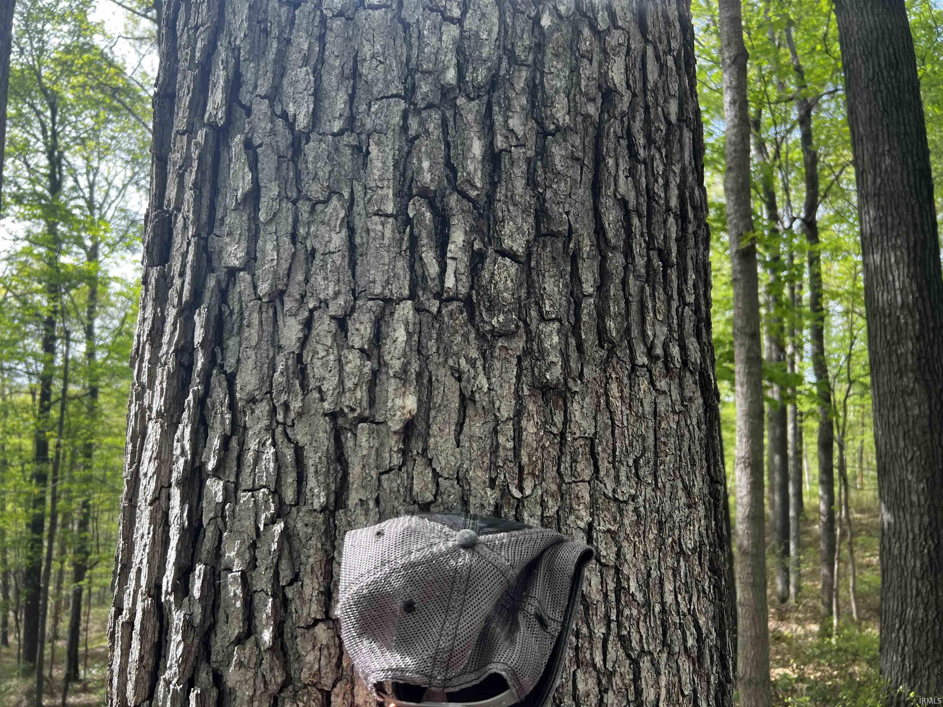 Boyd Road Tell City, IN 47586 - Photo 6 of 33