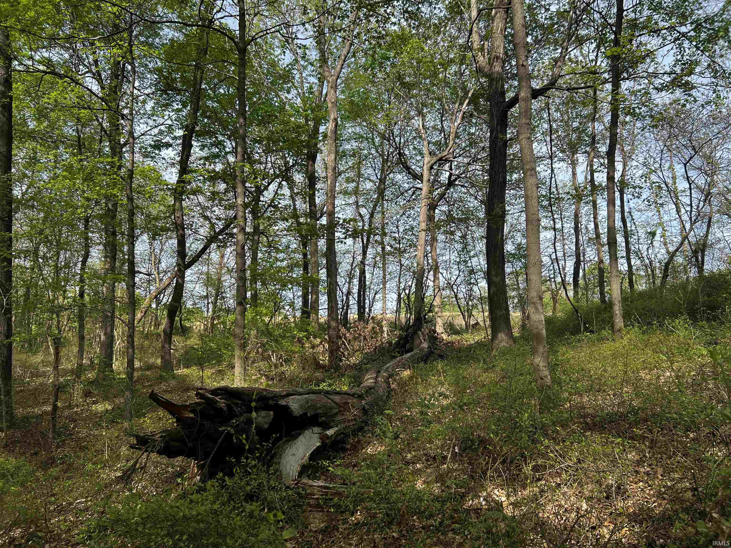 Boyd Road Tell City, IN 47586 - Photo 7 of 33